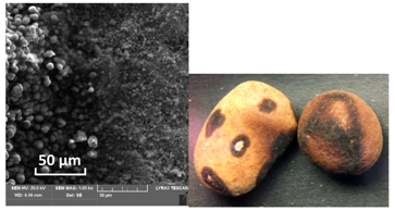 Catalysts 10 01476 i006