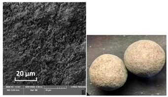 Catalysts 10 01476 i007
