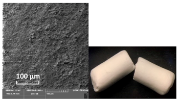Catalysts 10 01476 i009