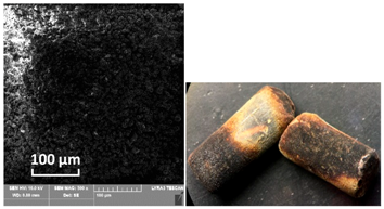 Catalysts 10 01476 i010