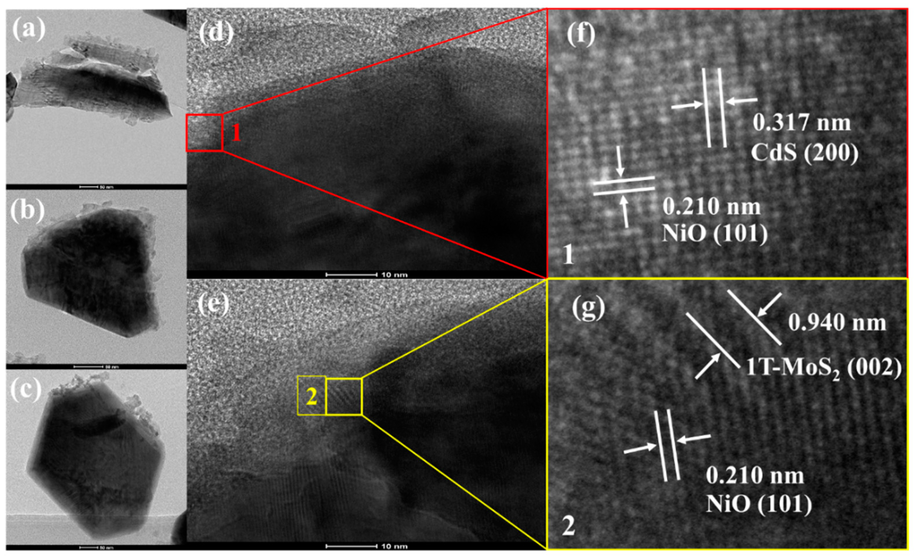 Catalysts 10 01478 g003 Catalysts 10 01478 g003