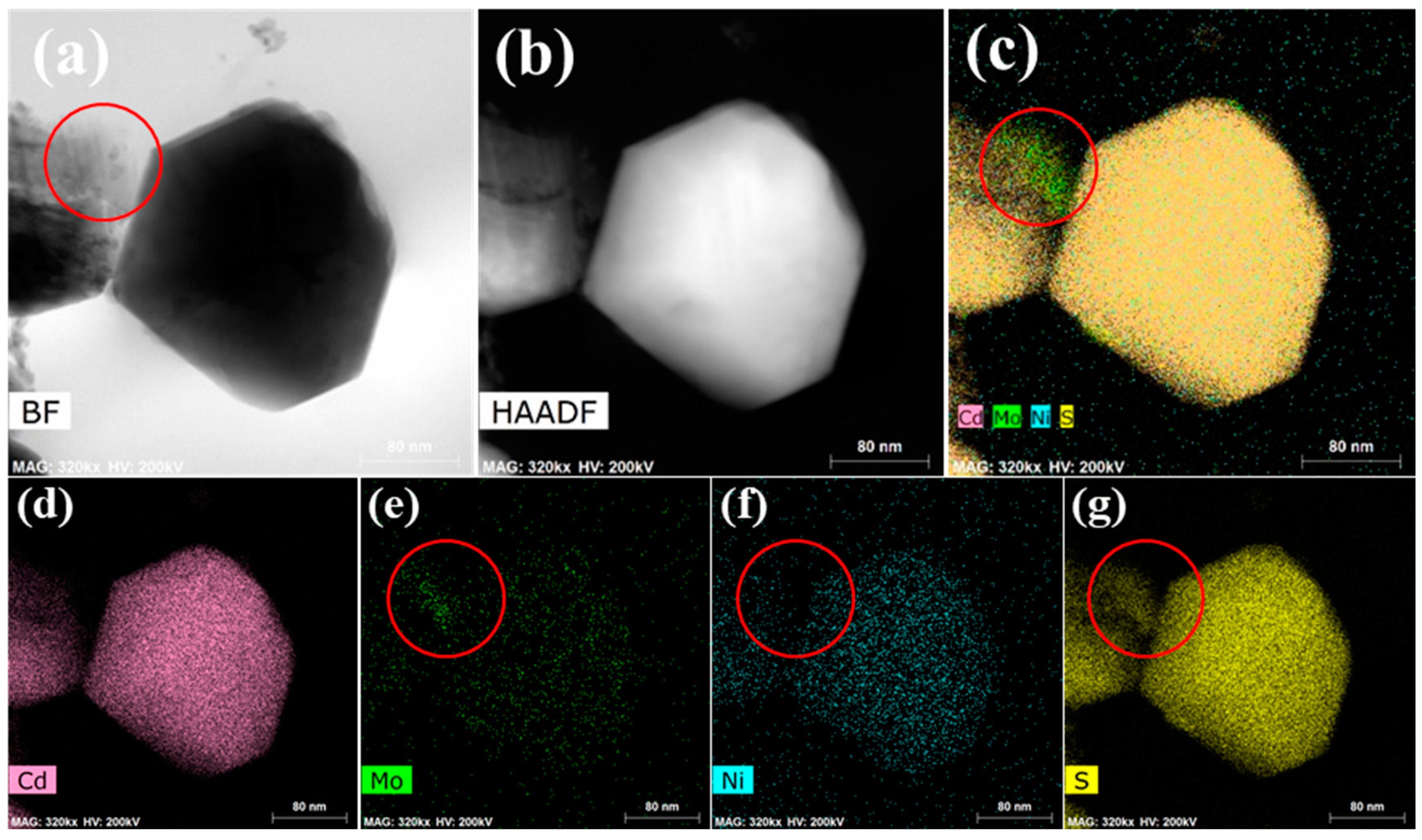 Catalysts 10 01478 g004 Catalysts 10 01478 g004