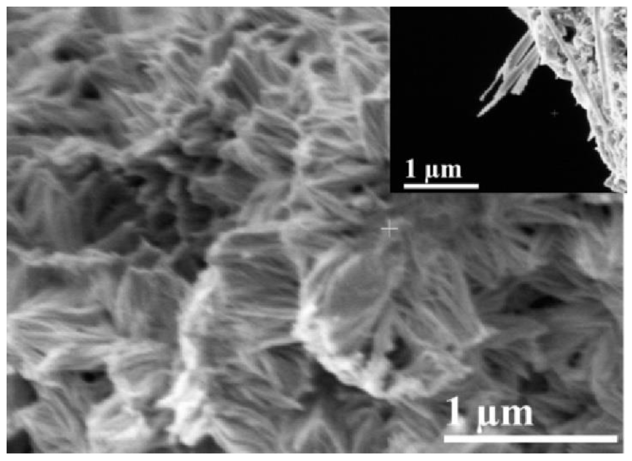 Catalysts 10 01480 g006 Catalysts 10 01480 g006