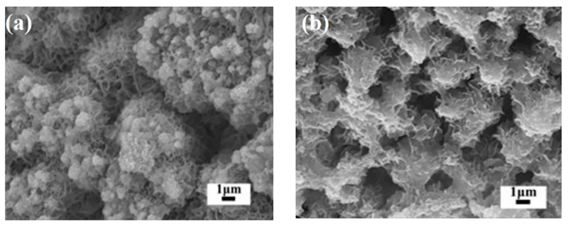 Catalysts 10 01486 g005