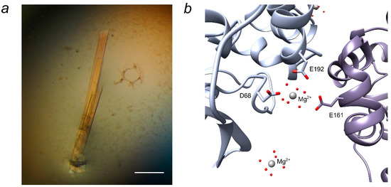 Catalysts 11 00005 g002