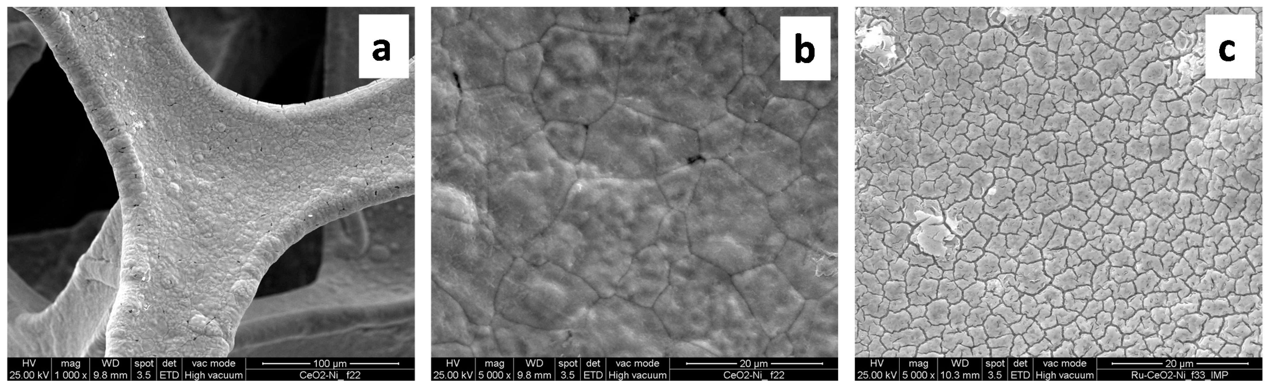 Catalysts 11 00013 g002