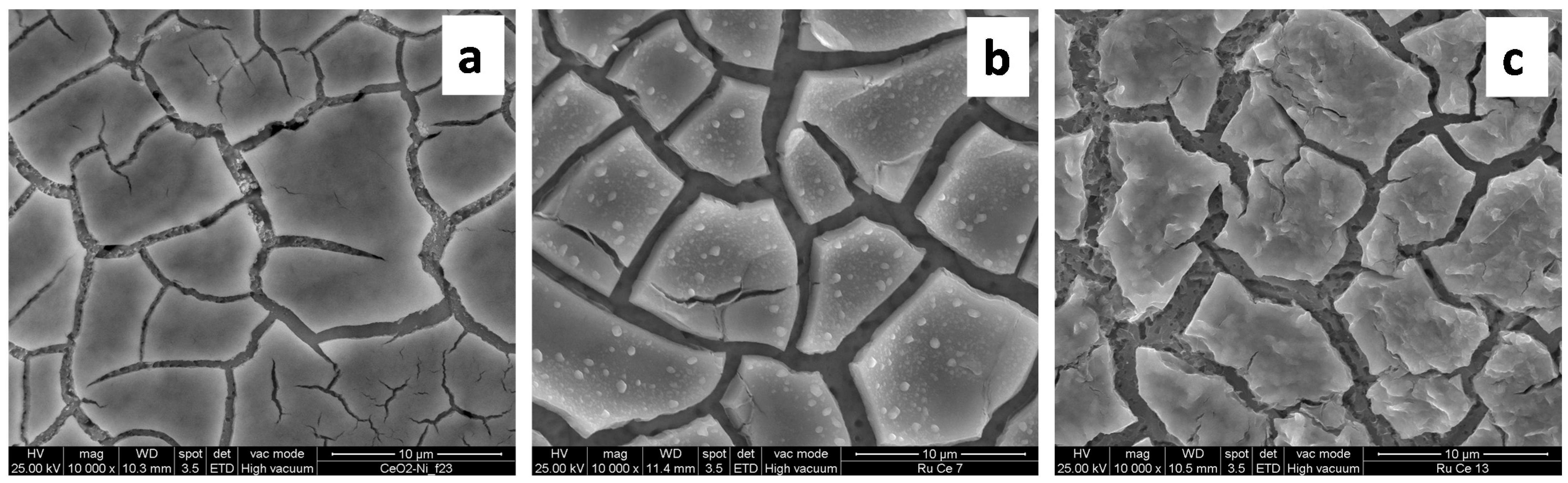 Catalysts 11 00013 g007