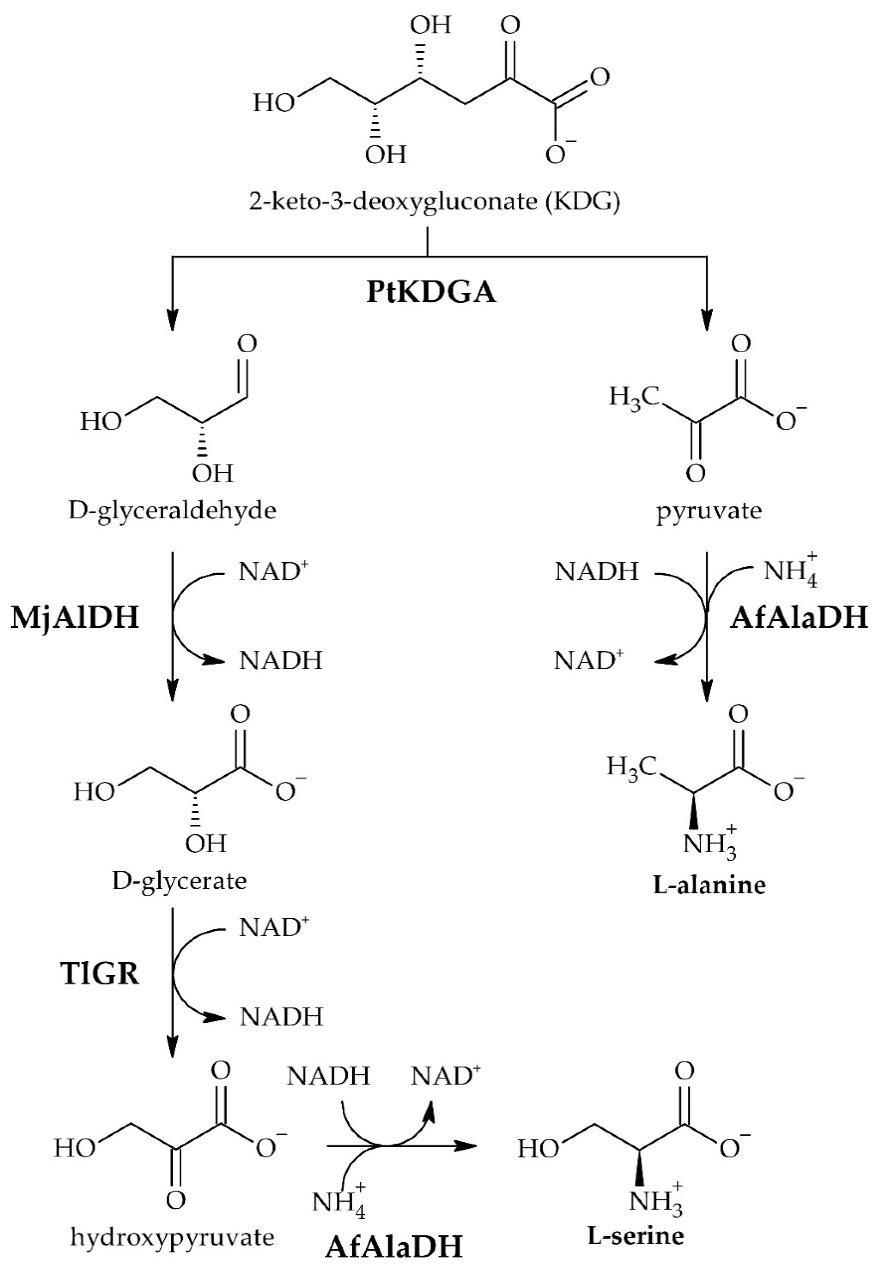 Catalysts 11 00031 g001 Catalysts 11 00031 g001