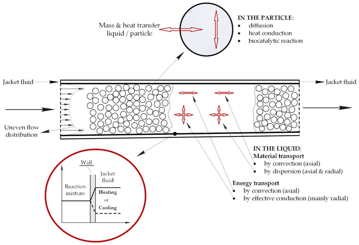 Catalysts 11 00035 g001