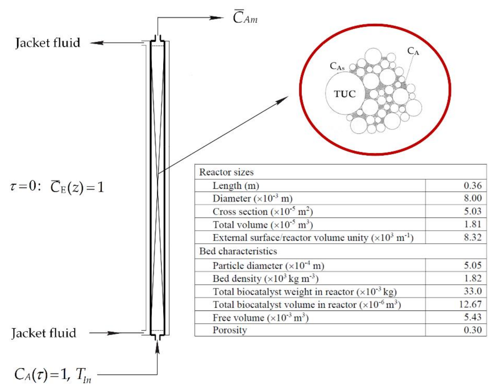 Catalysts 11 00035 g008
