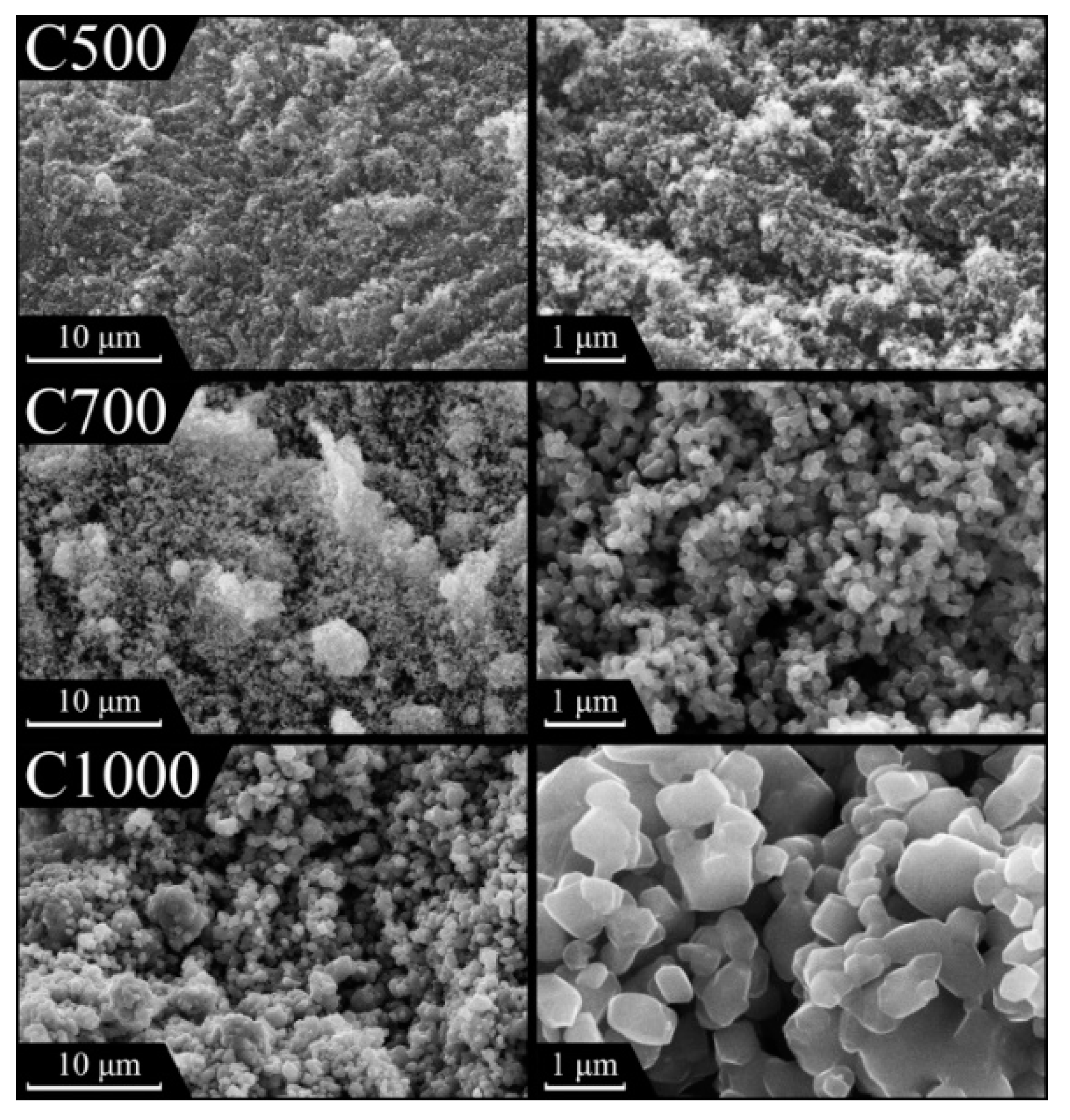Catalysts 11 00047 g001