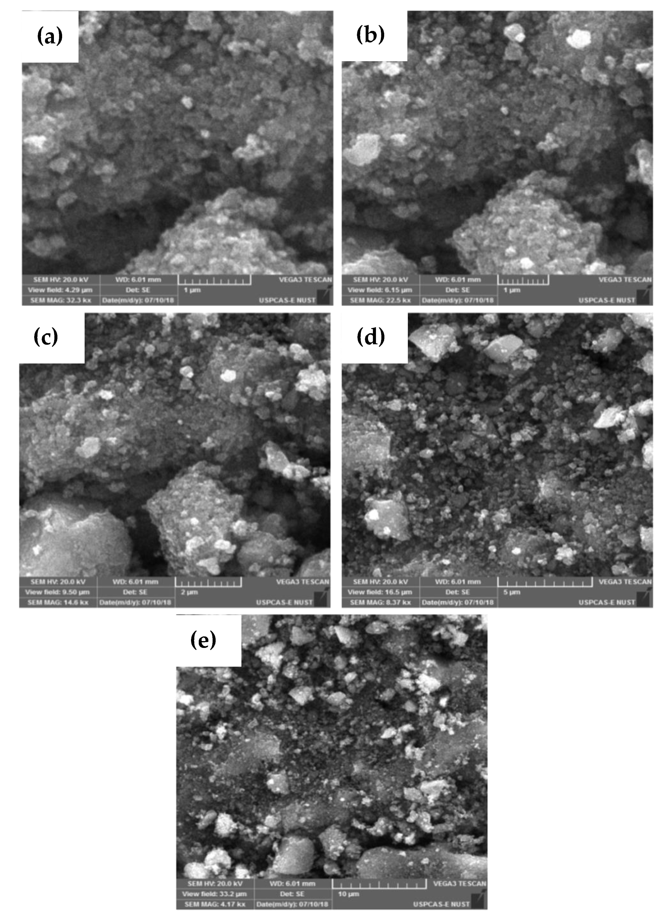 Catalysts 11 00054 g002