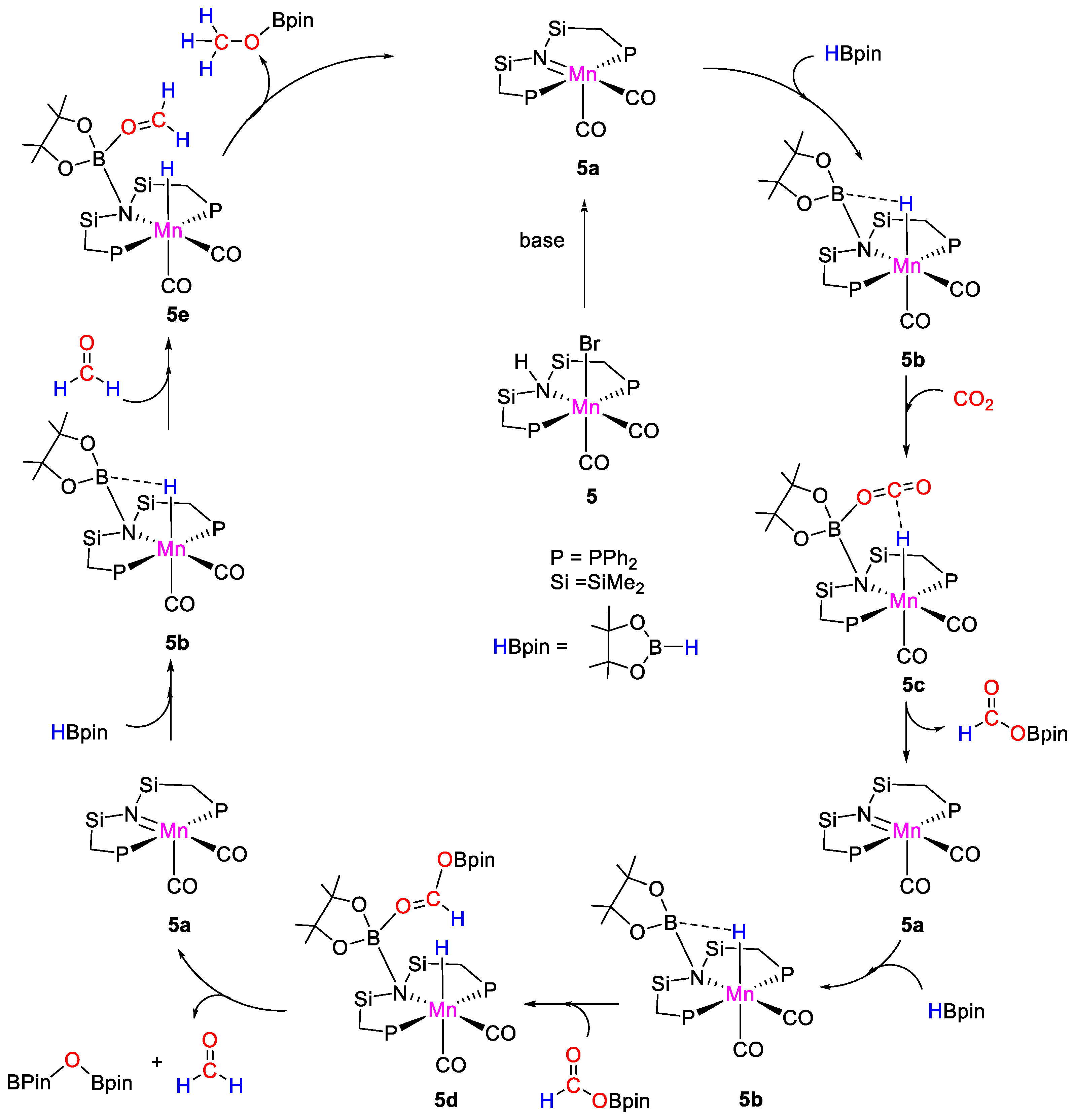 Catalysts 11 00058 sch010