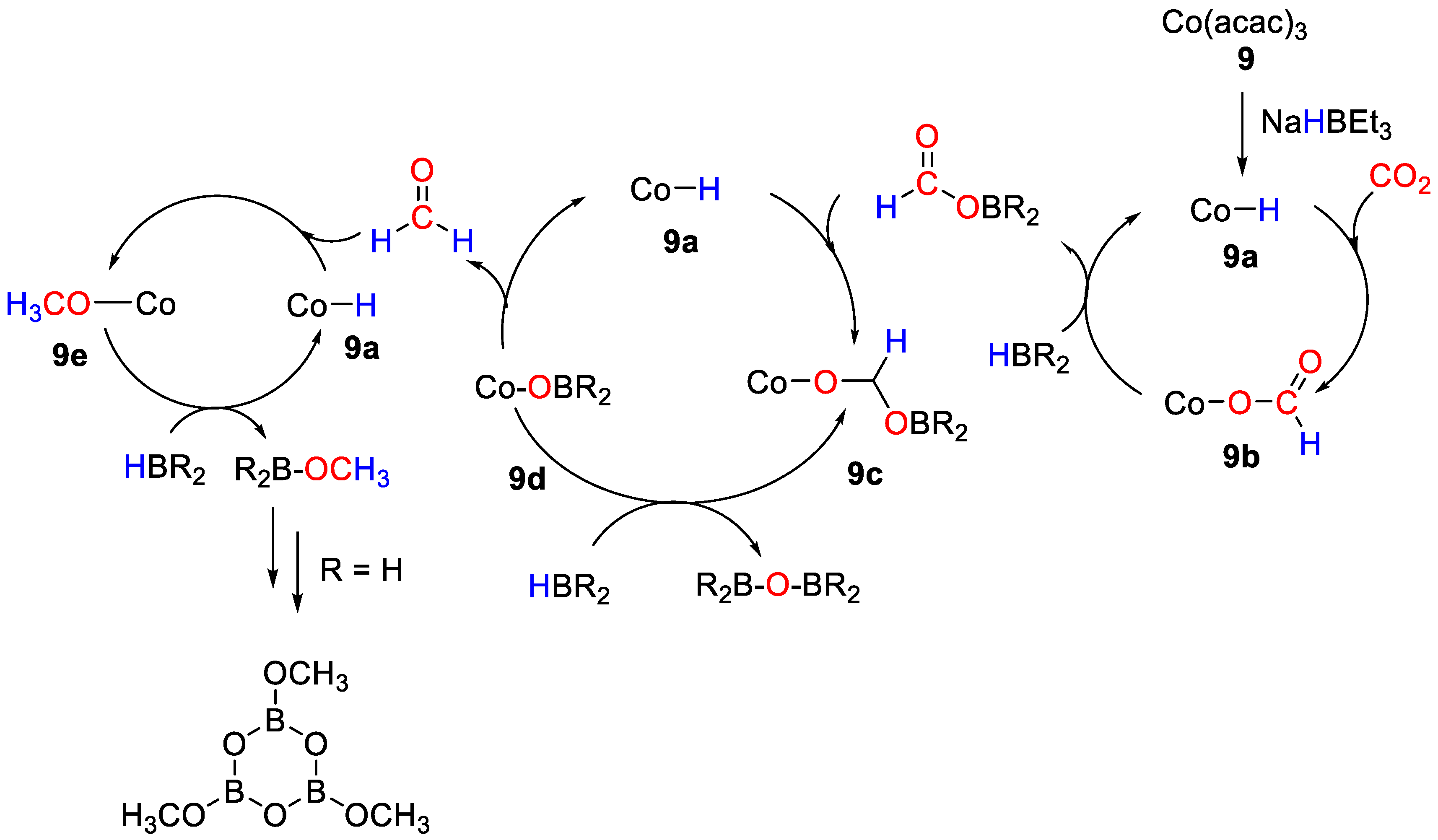 Catalysts 11 00058 sch016
