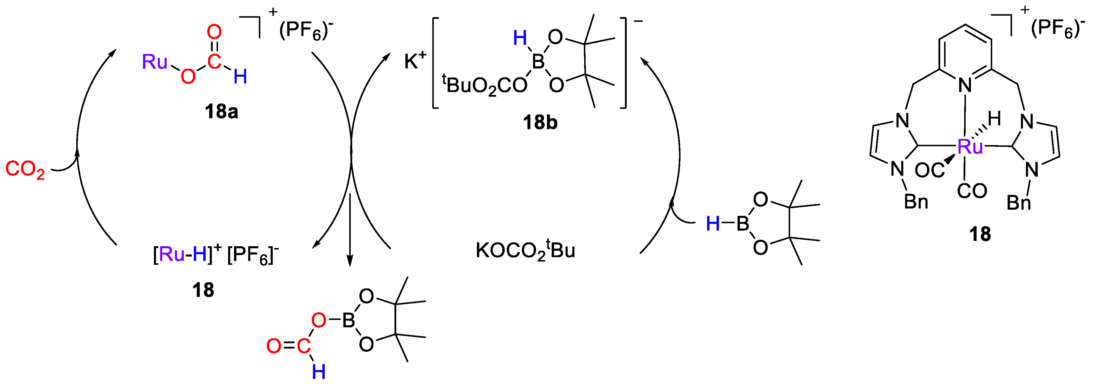 Catalysts 11 00058 sch034