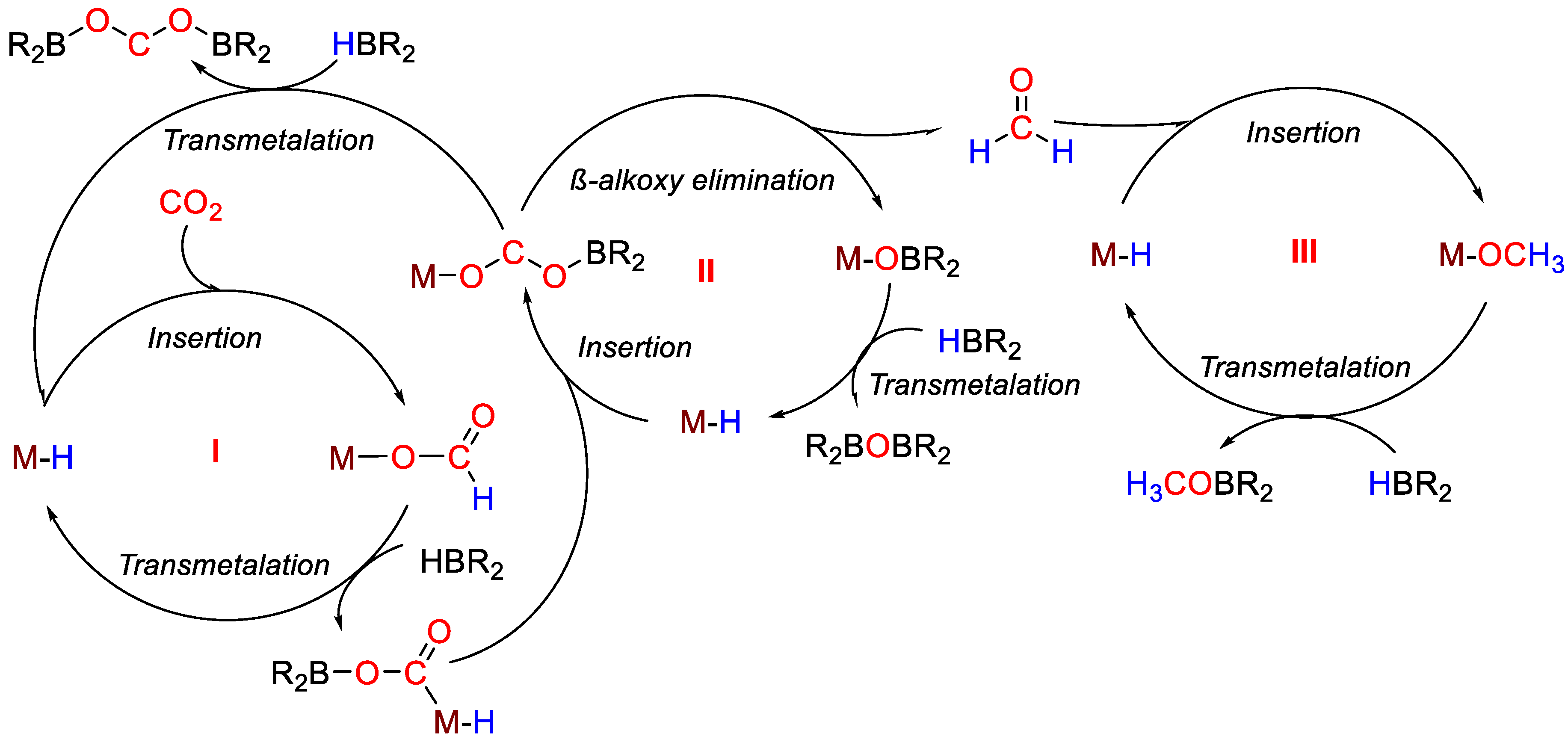 Catalysts 11 00058 sch037