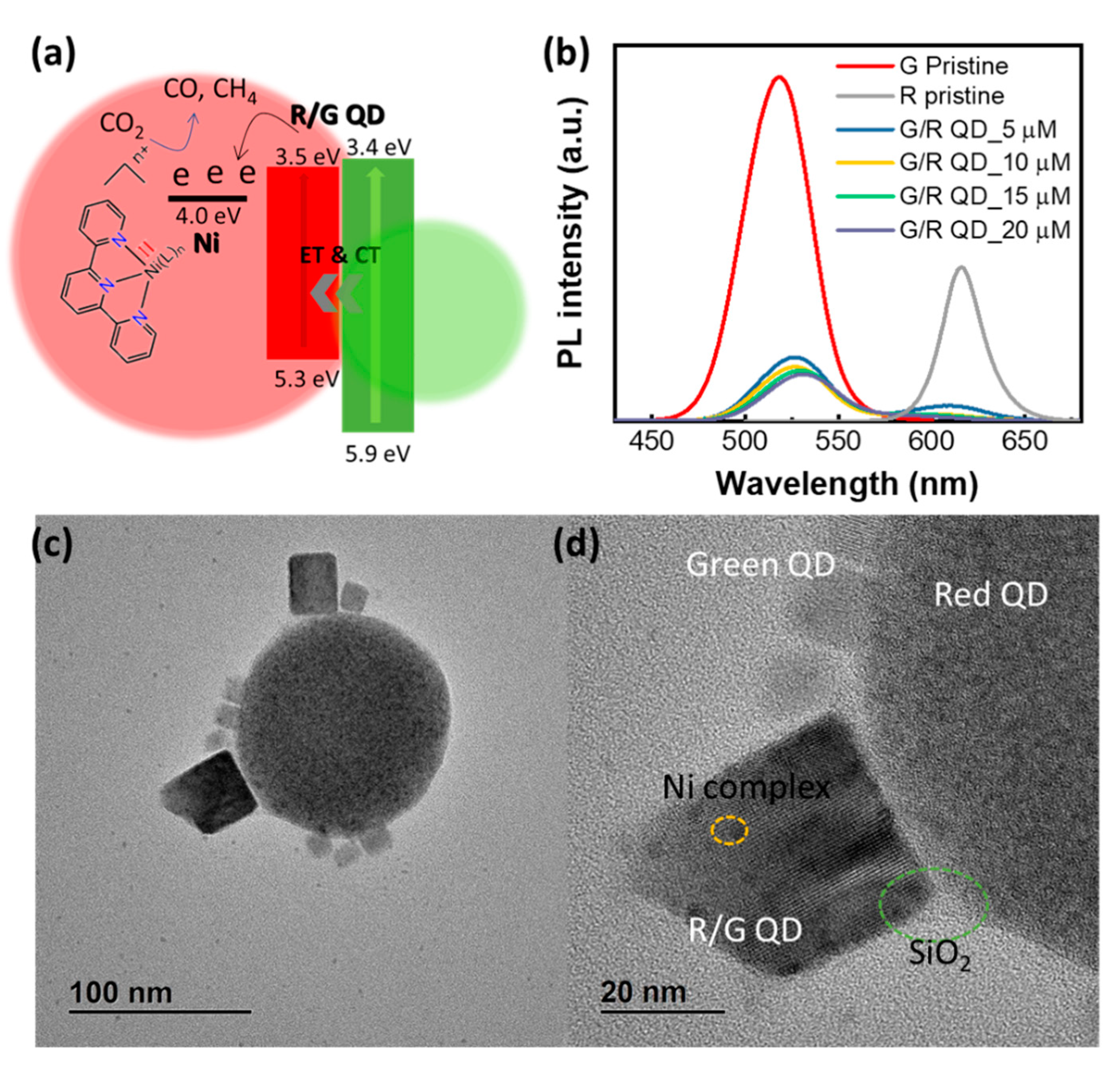 Catalysts 11 00061 g007 Catalysts 11 00061 g007