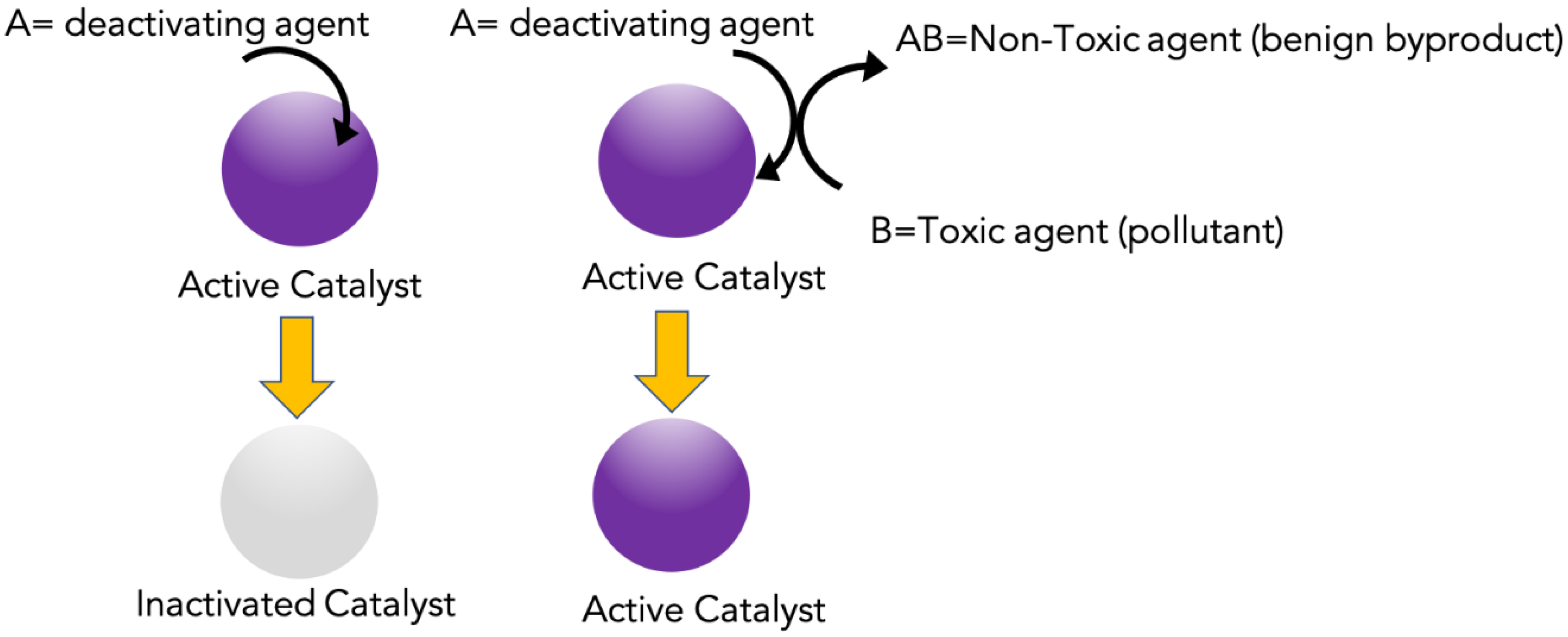 Catalysts 11 00064 g004 Catalysts 11 00064 g004