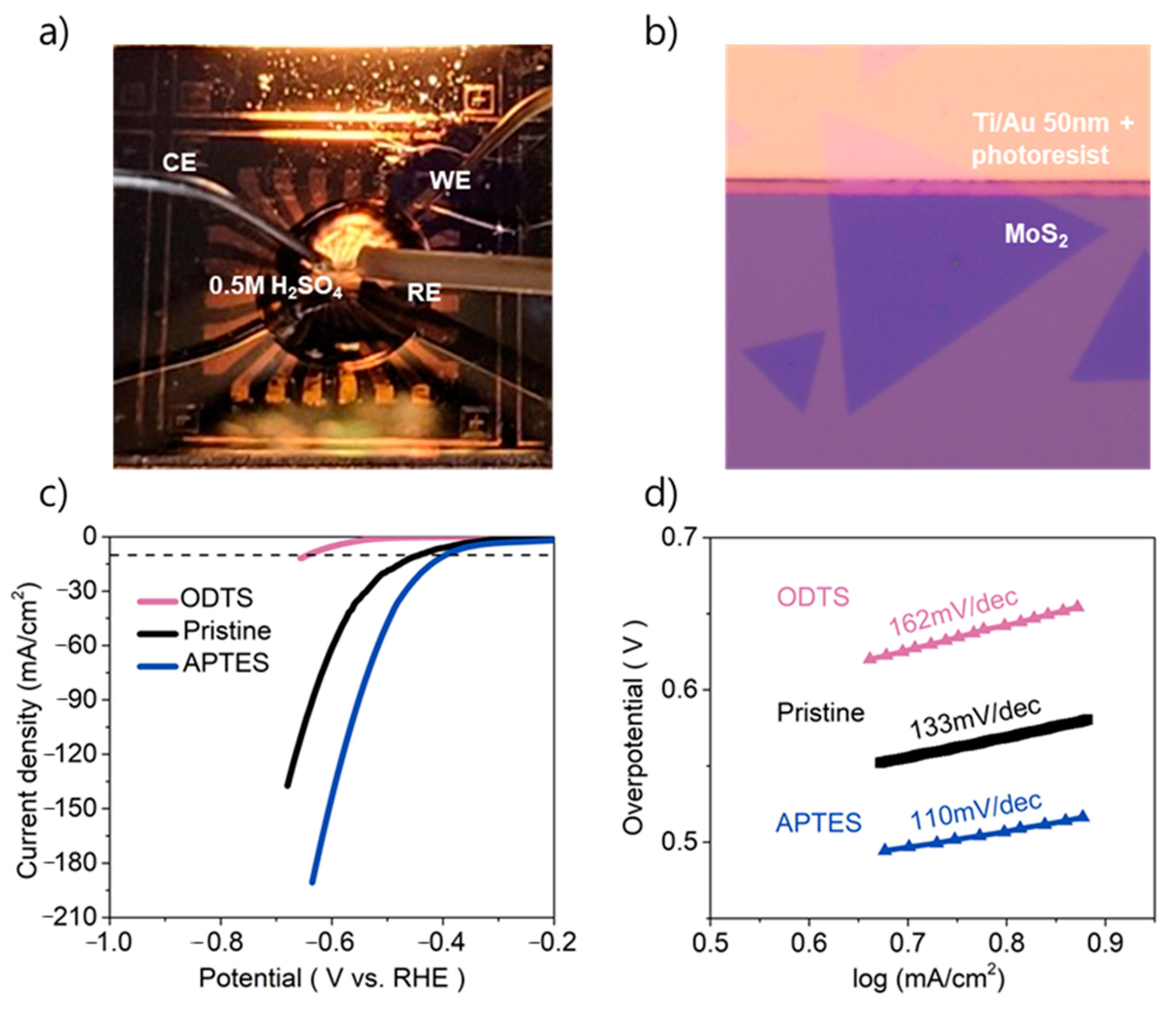 Catalysts 11 00070 g004 Catalysts 11 00070 g004