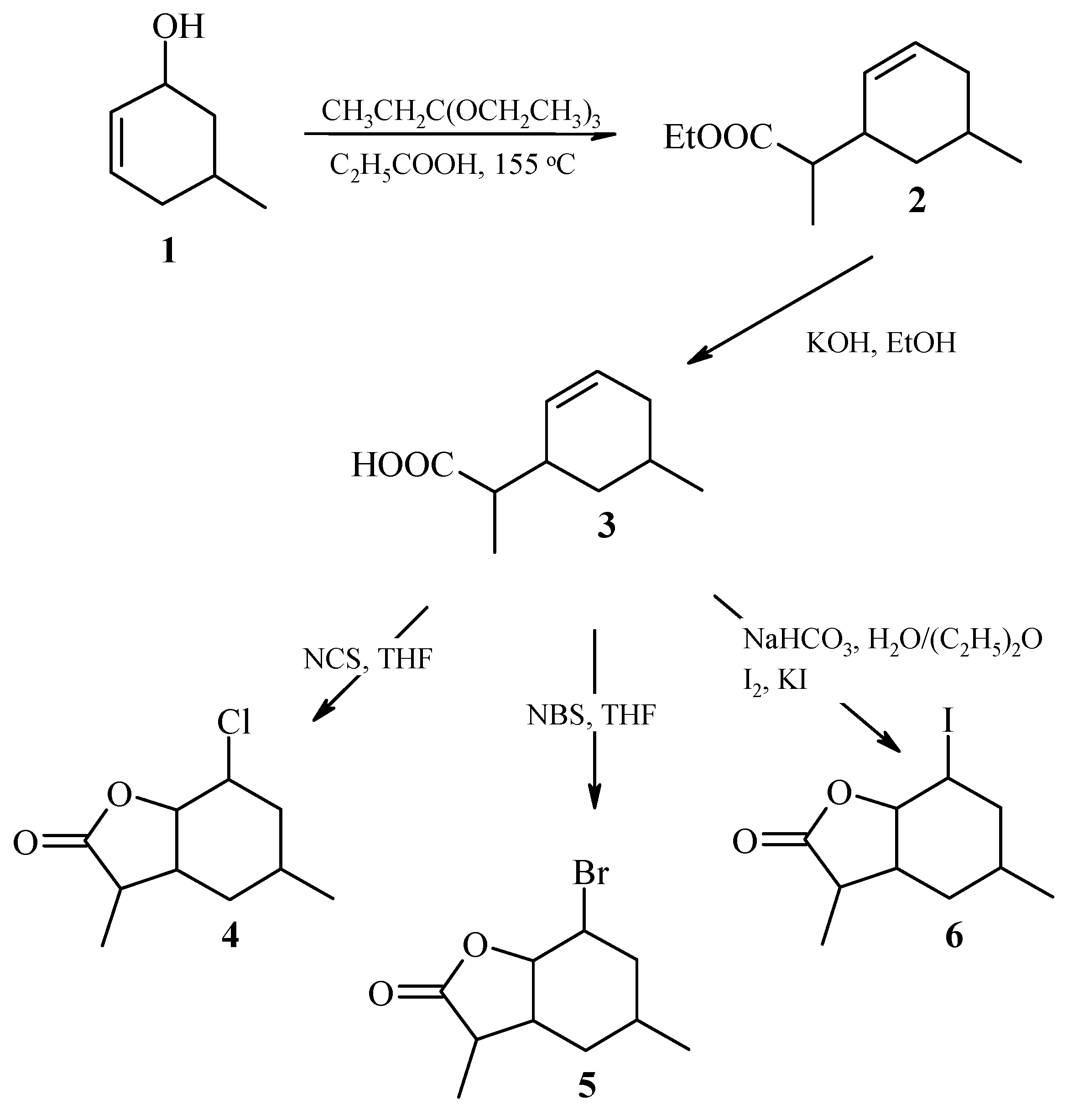 Catalysts 11 00073 g001