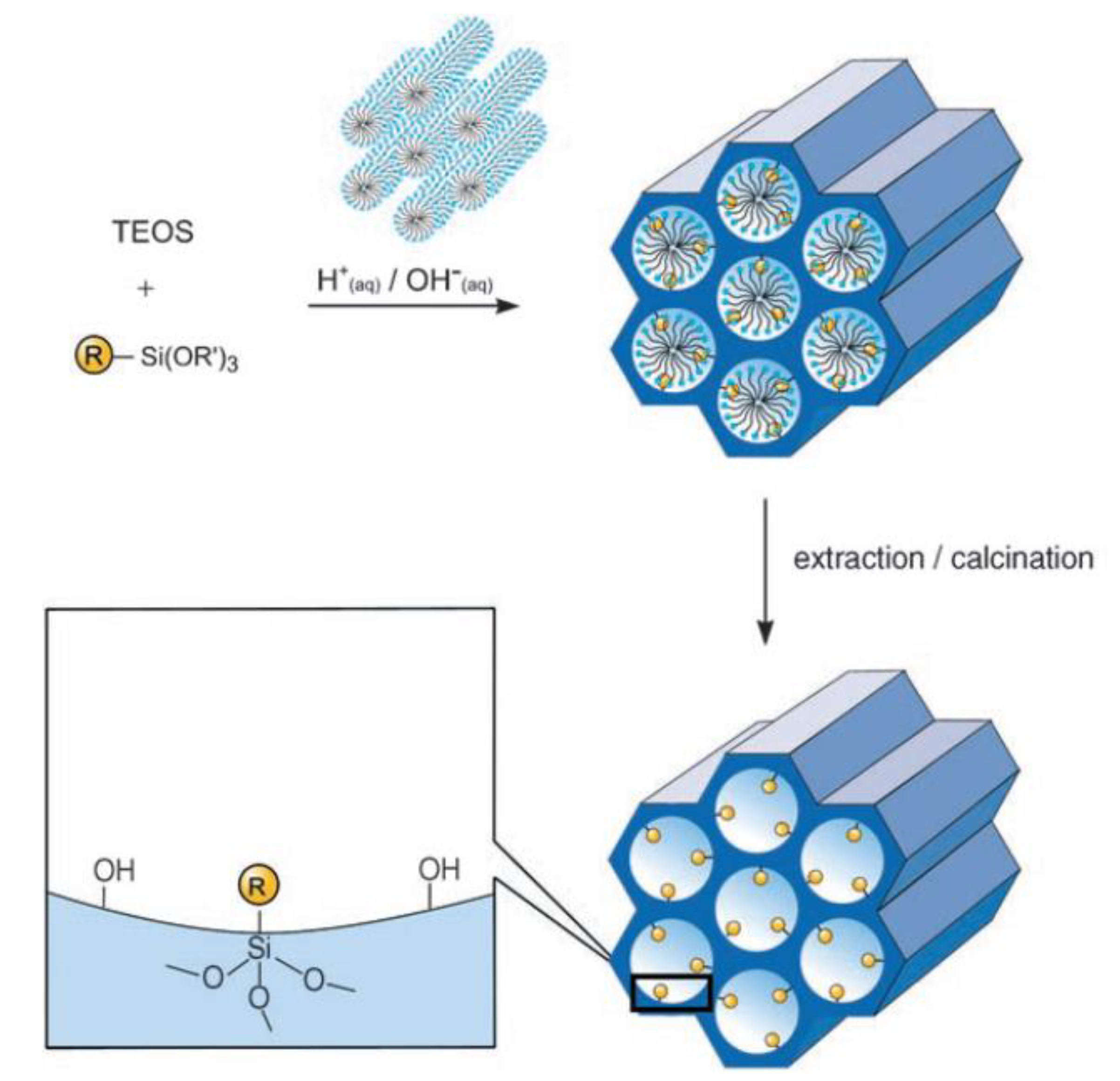Catalysts 11 00079 g006