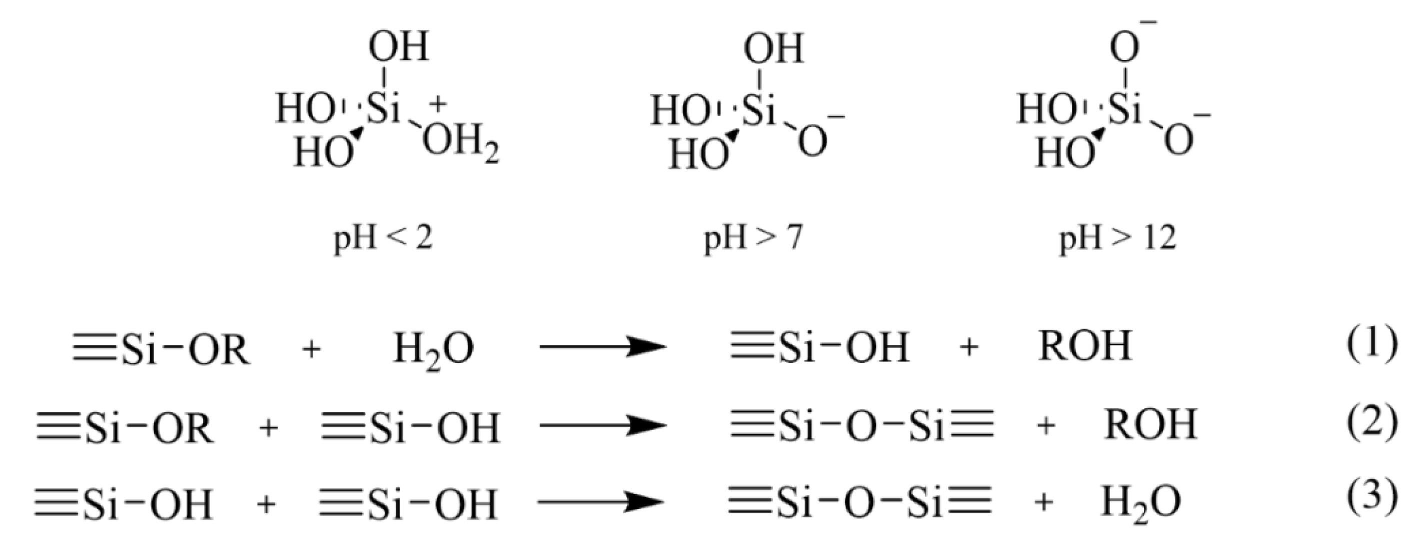 Catalysts 11 00079 g008
