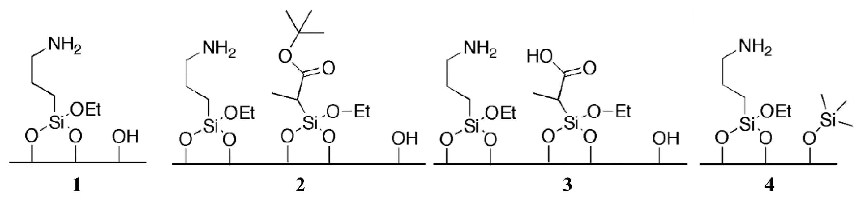 Catalysts 11 00079 g017