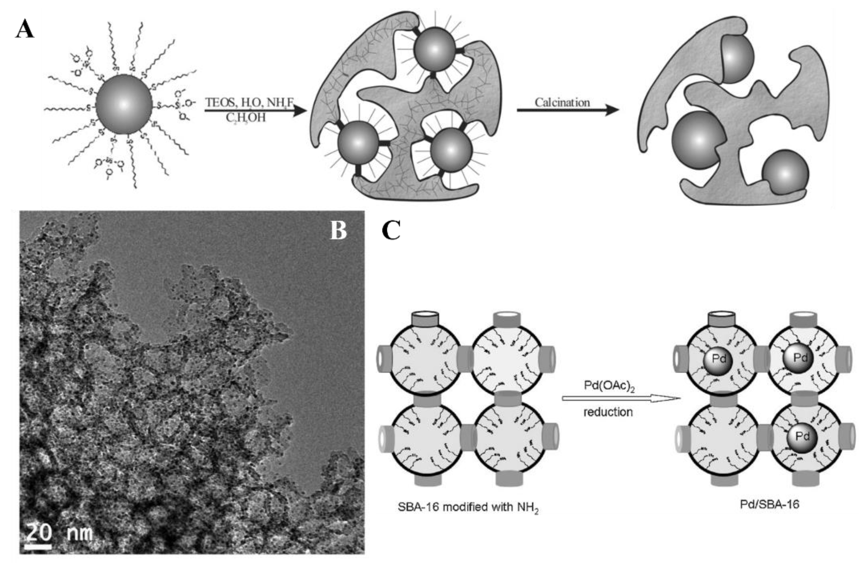 Catalysts 11 00079 g023