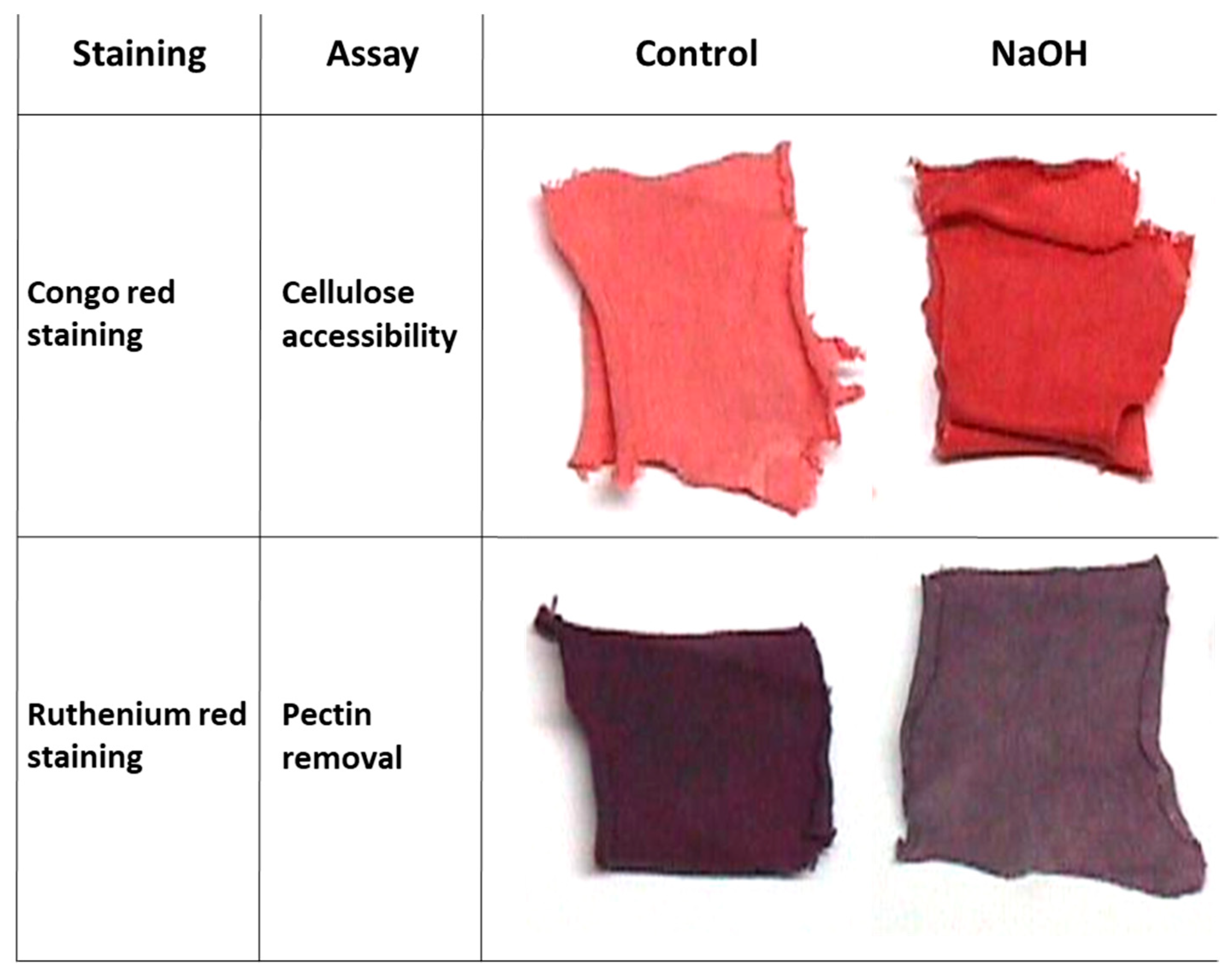 Catalysts 11 00084 g001 Catalysts 11 00084 g001