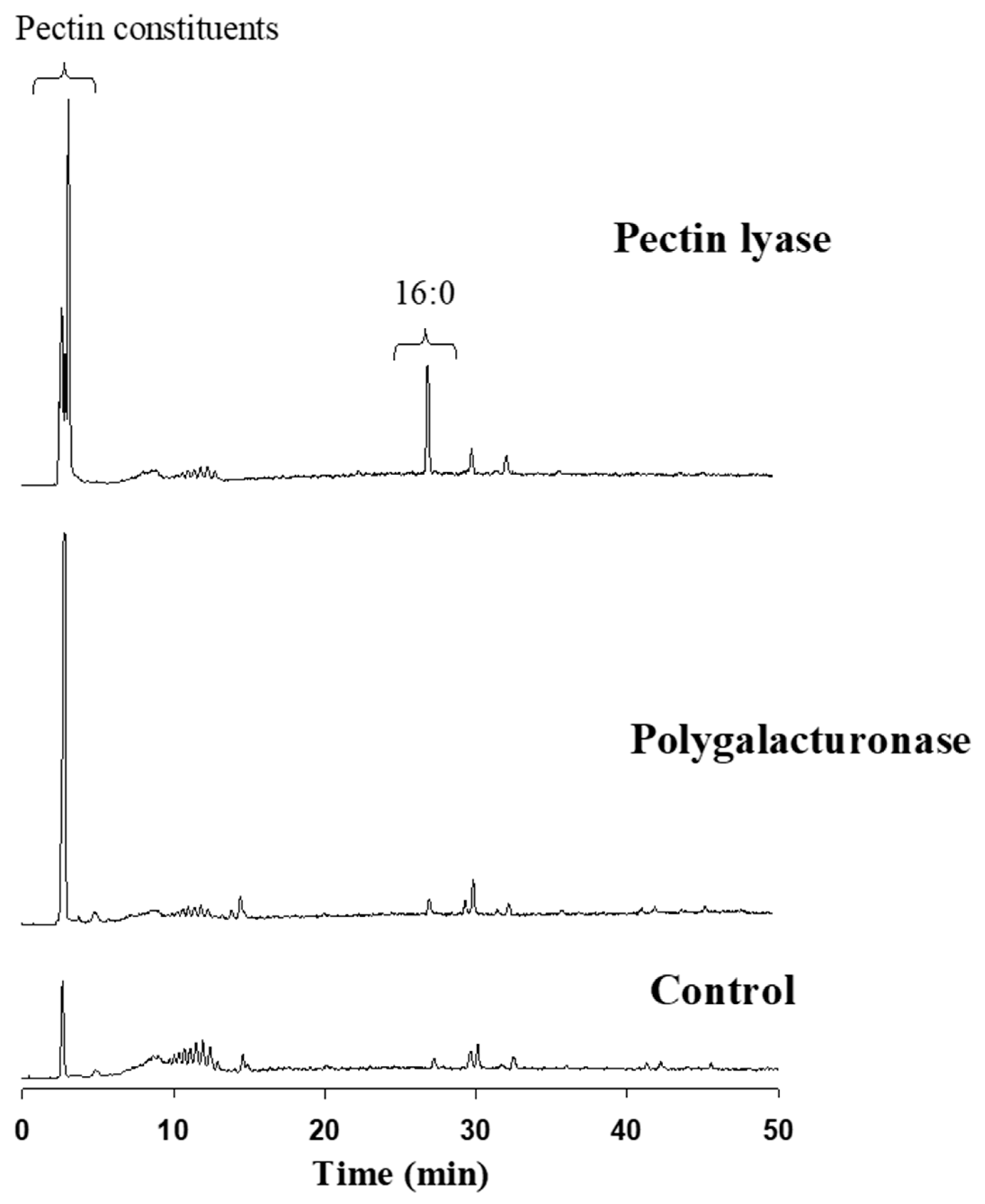 Catalysts 11 00084 g005 Catalysts 11 00084 g005