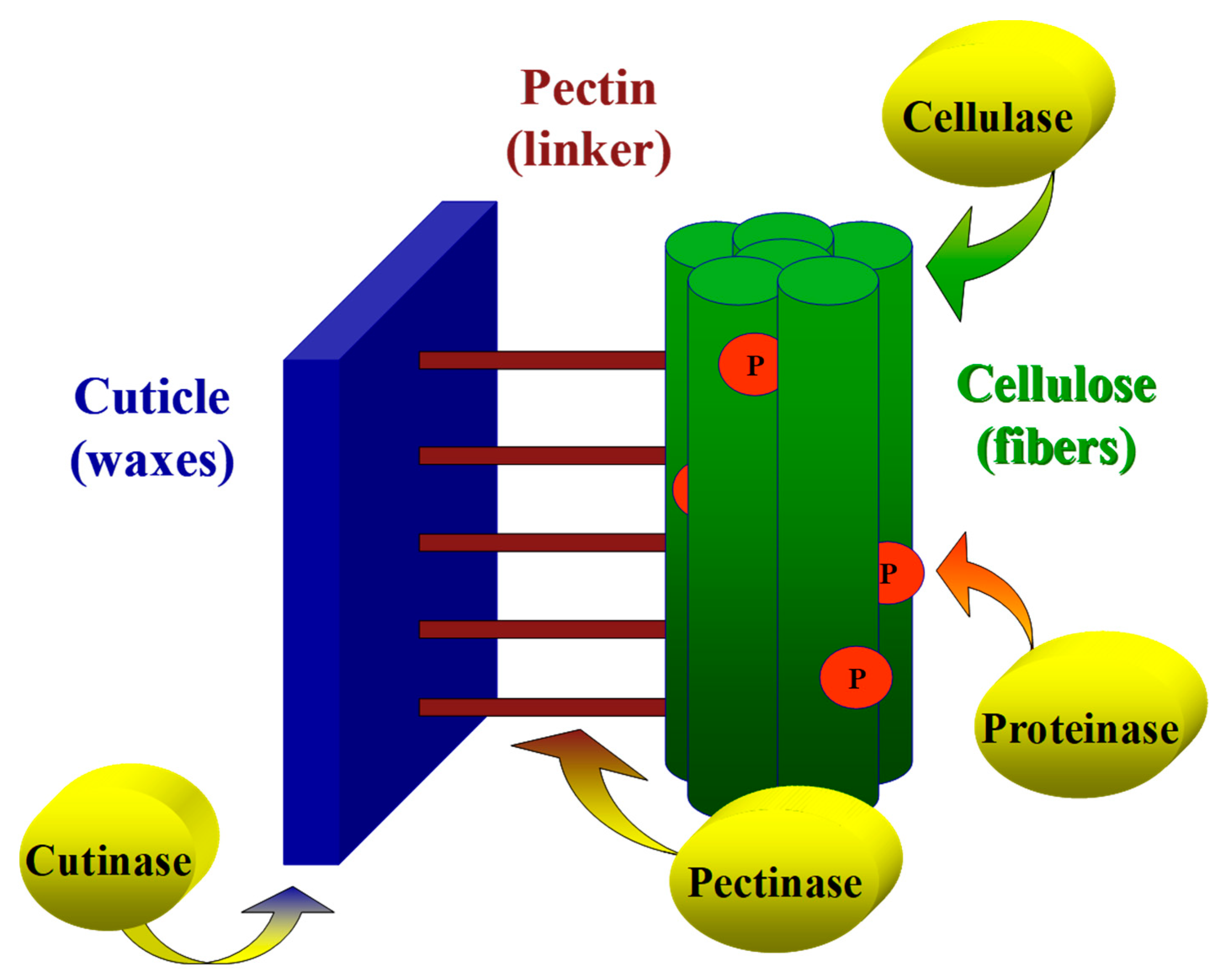 Catalysts 11 00084 g009 Catalysts 11 00084 g009