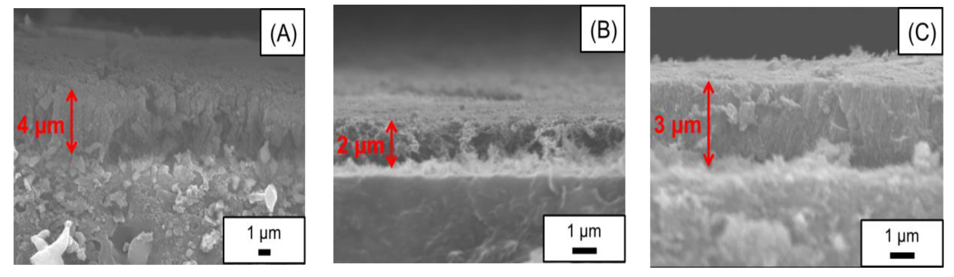 Catalysts 11 00091 g004