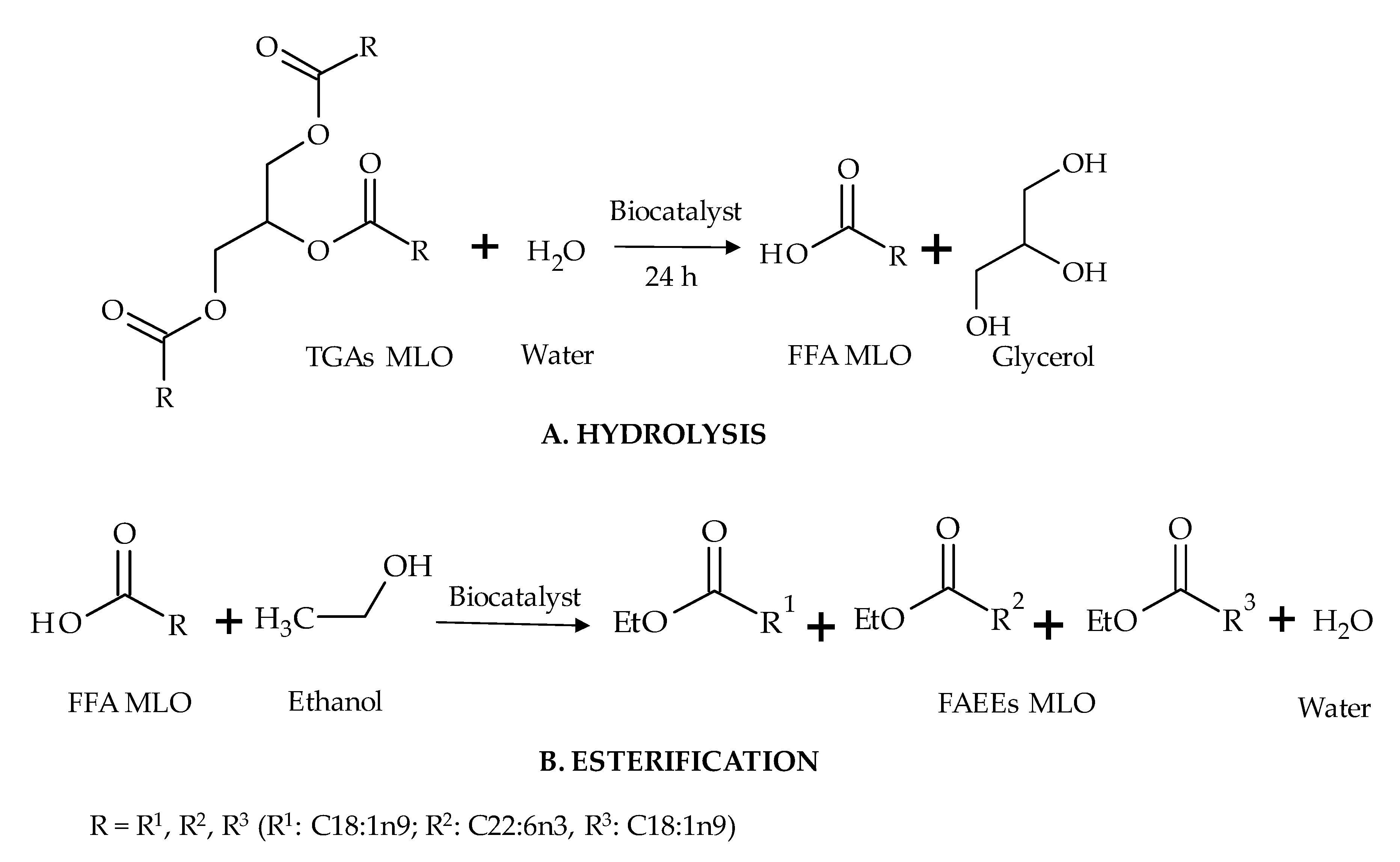 Catalysts 11 00100 g003 Catalysts 11 00100 g003
