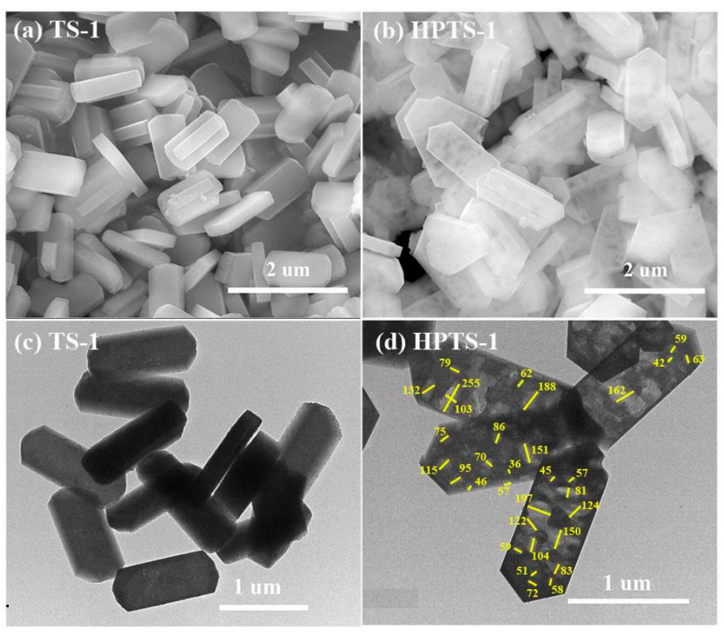 Catalysts 11 00113 g001