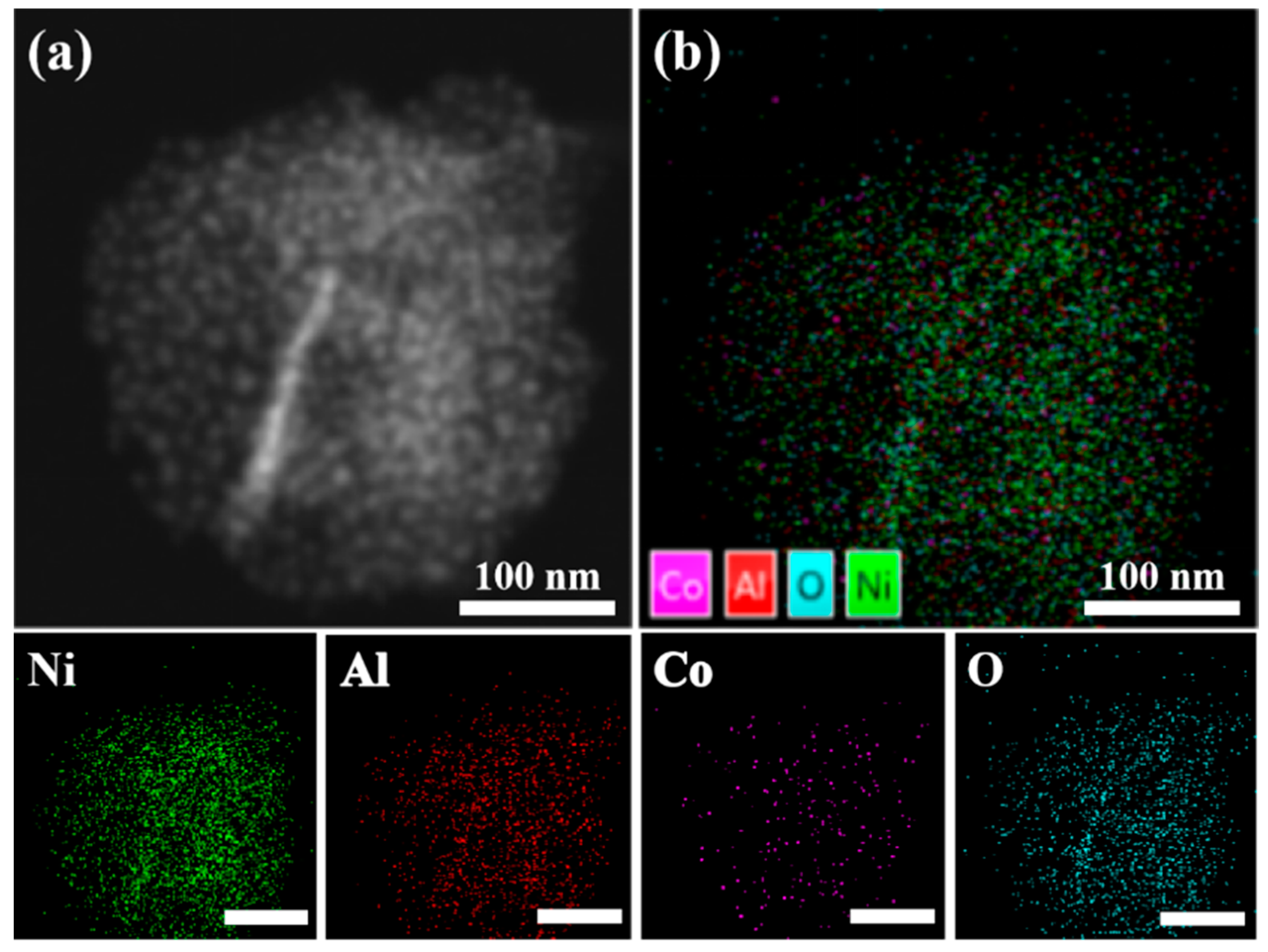 Catalysts 11 00121 g007 Catalysts 11 00121 g007