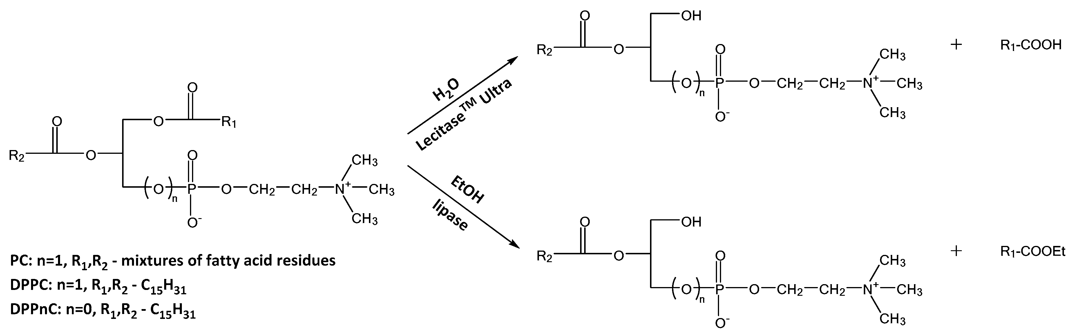 Catalysts 11 00129 sch002 Catalysts 11 00129 sch002