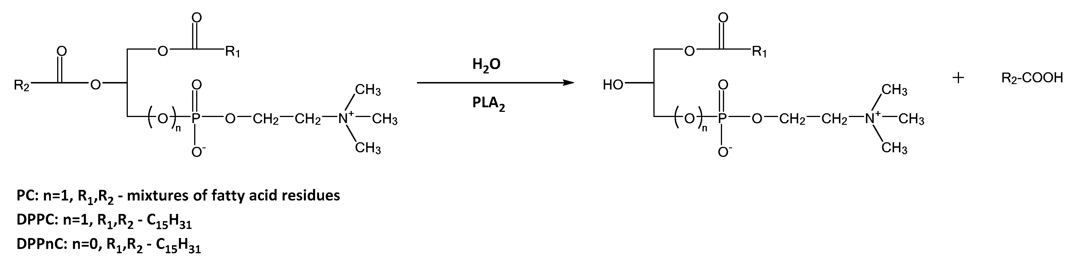Catalysts 11 00129 sch003 Catalysts 11 00129 sch003