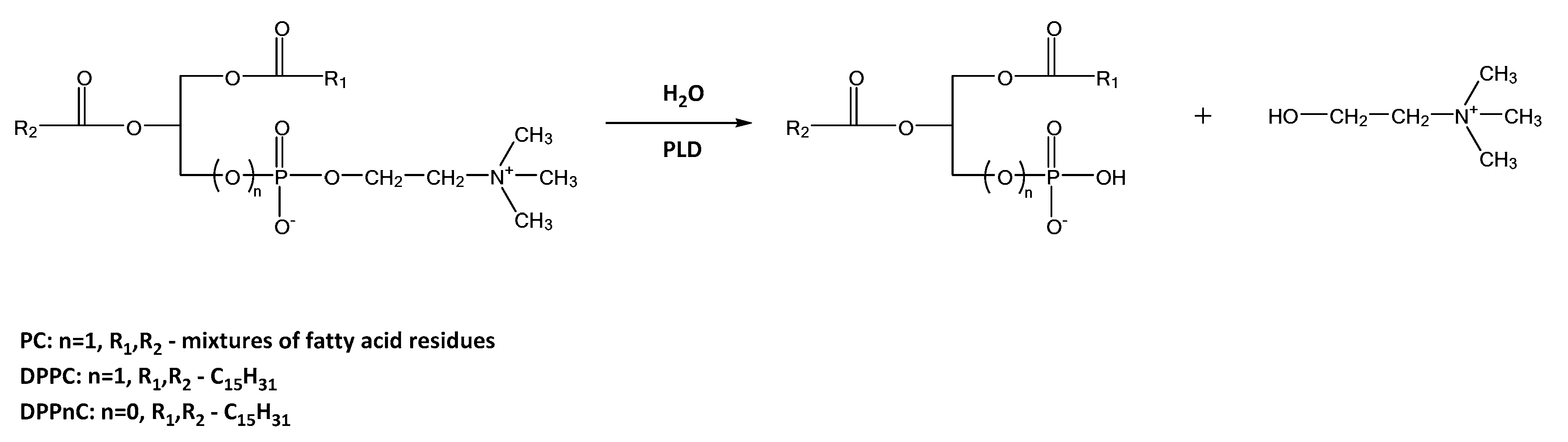 Catalysts 11 00129 sch004 Catalysts 11 00129 sch004