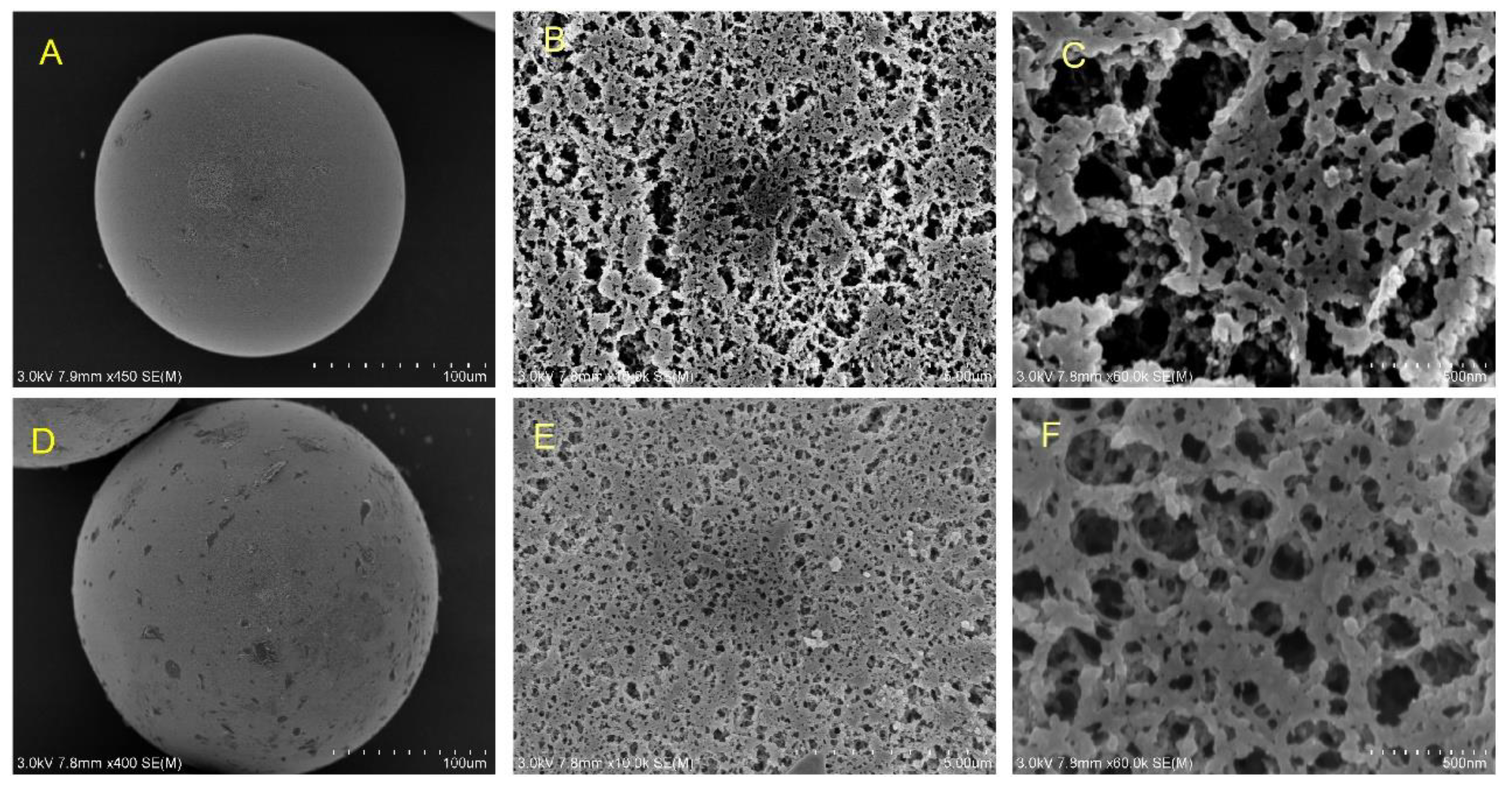 Catalysts 11 00132 g002 Catalysts 11 00132 g002