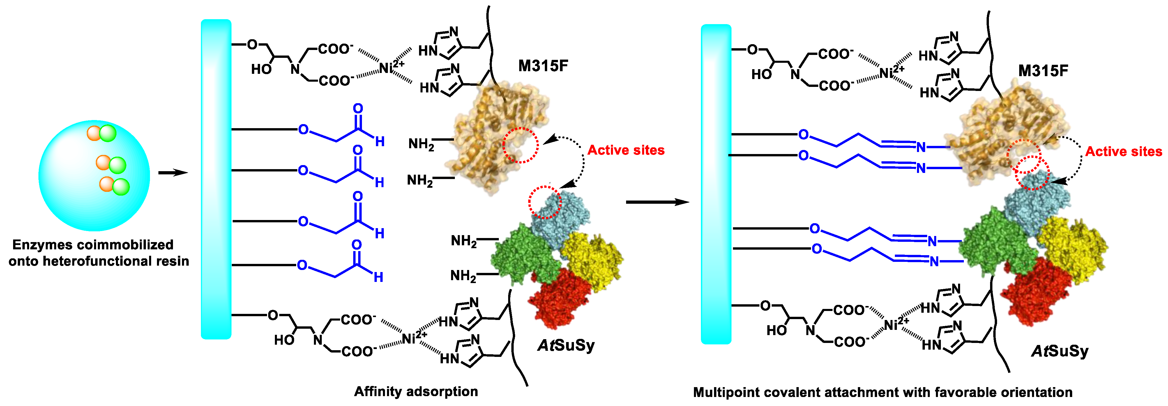 Catalysts 11 00132 sch002 Catalysts 11 00132 sch002