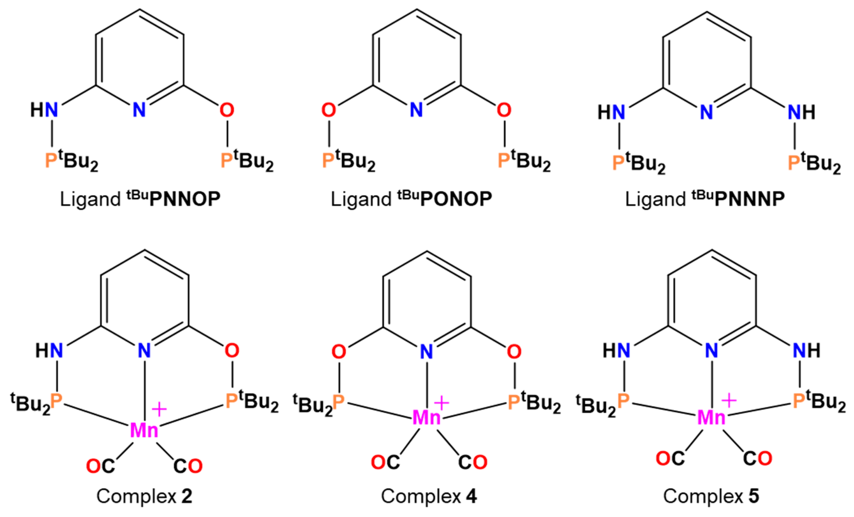 Catalysts 11 00141 sch002 Catalysts 11 00141 sch002