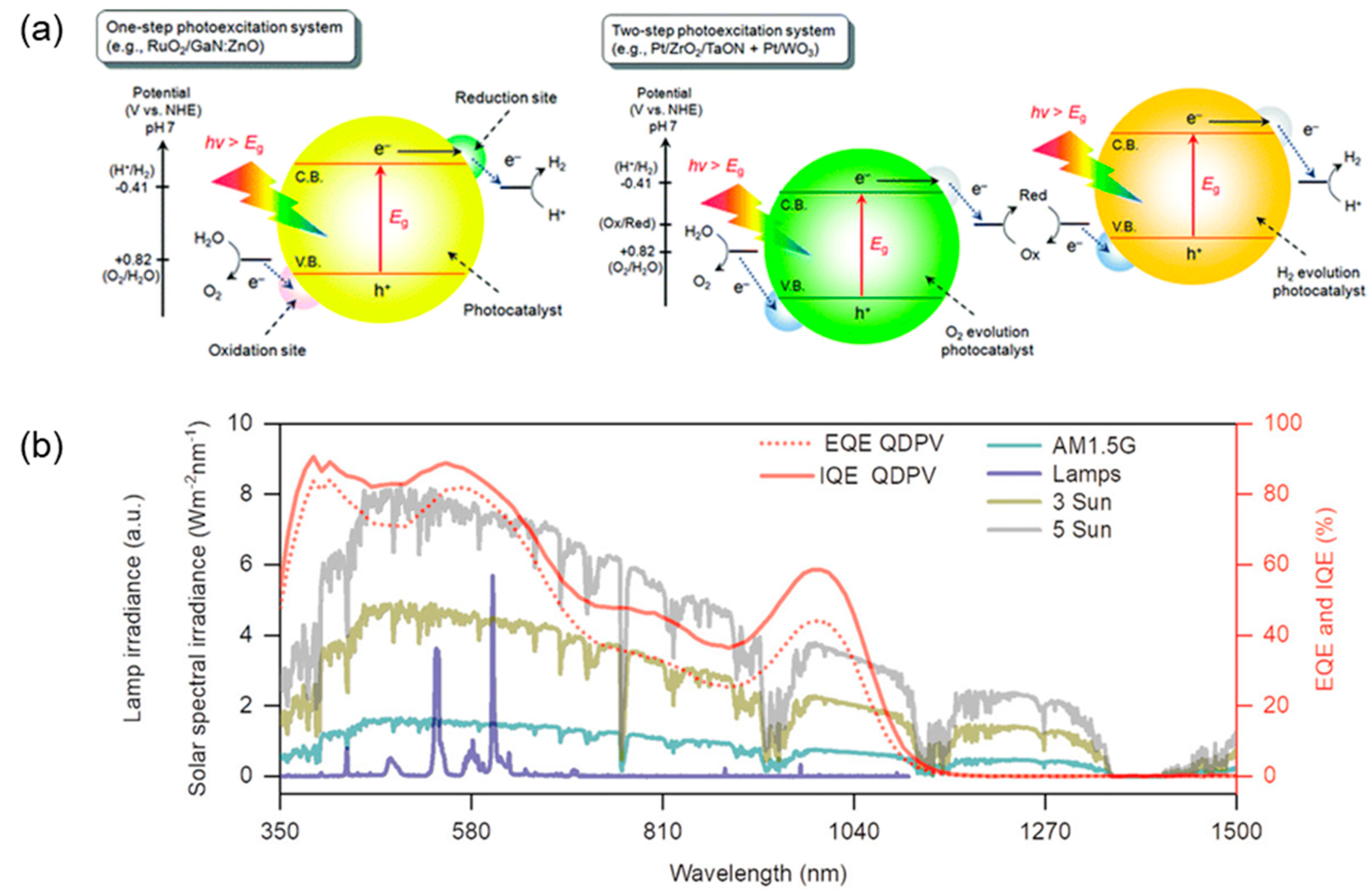 Catalysts 11 00142 g001