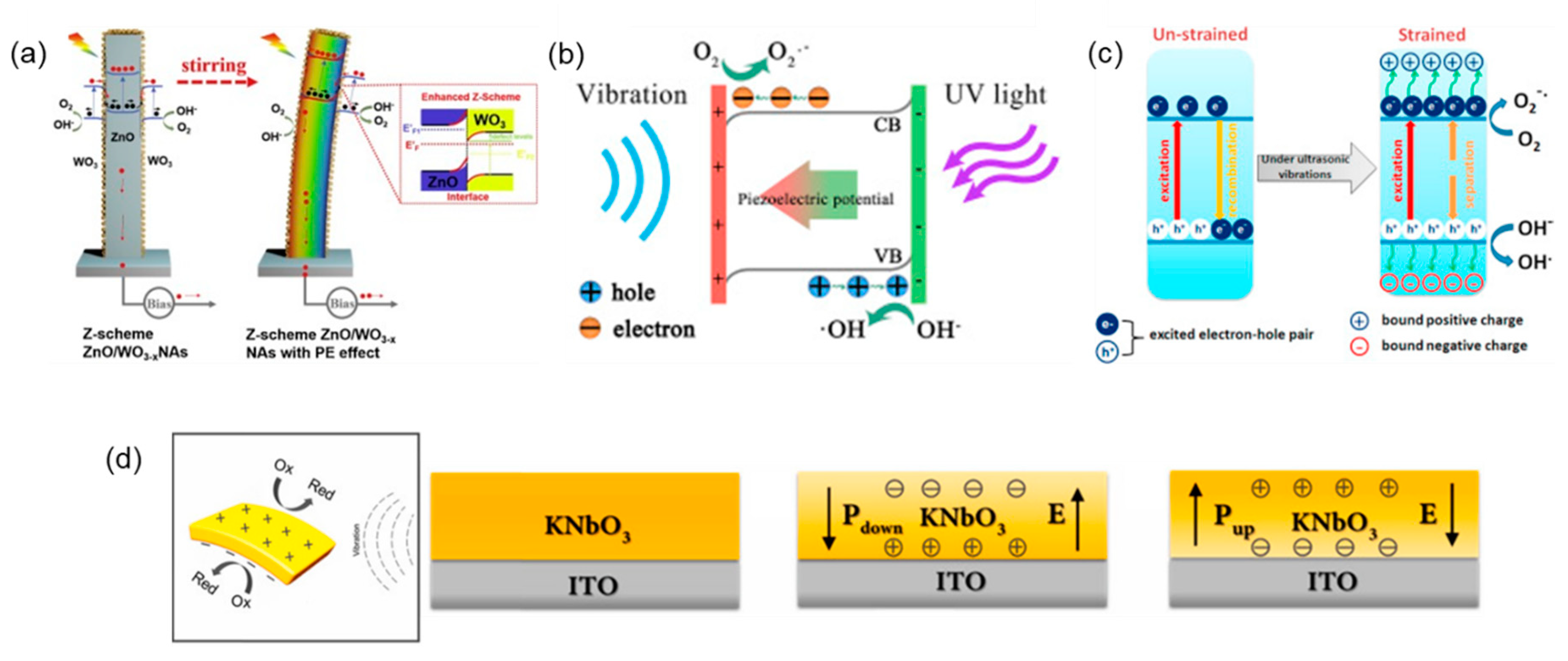 Catalysts 11 00142 g006