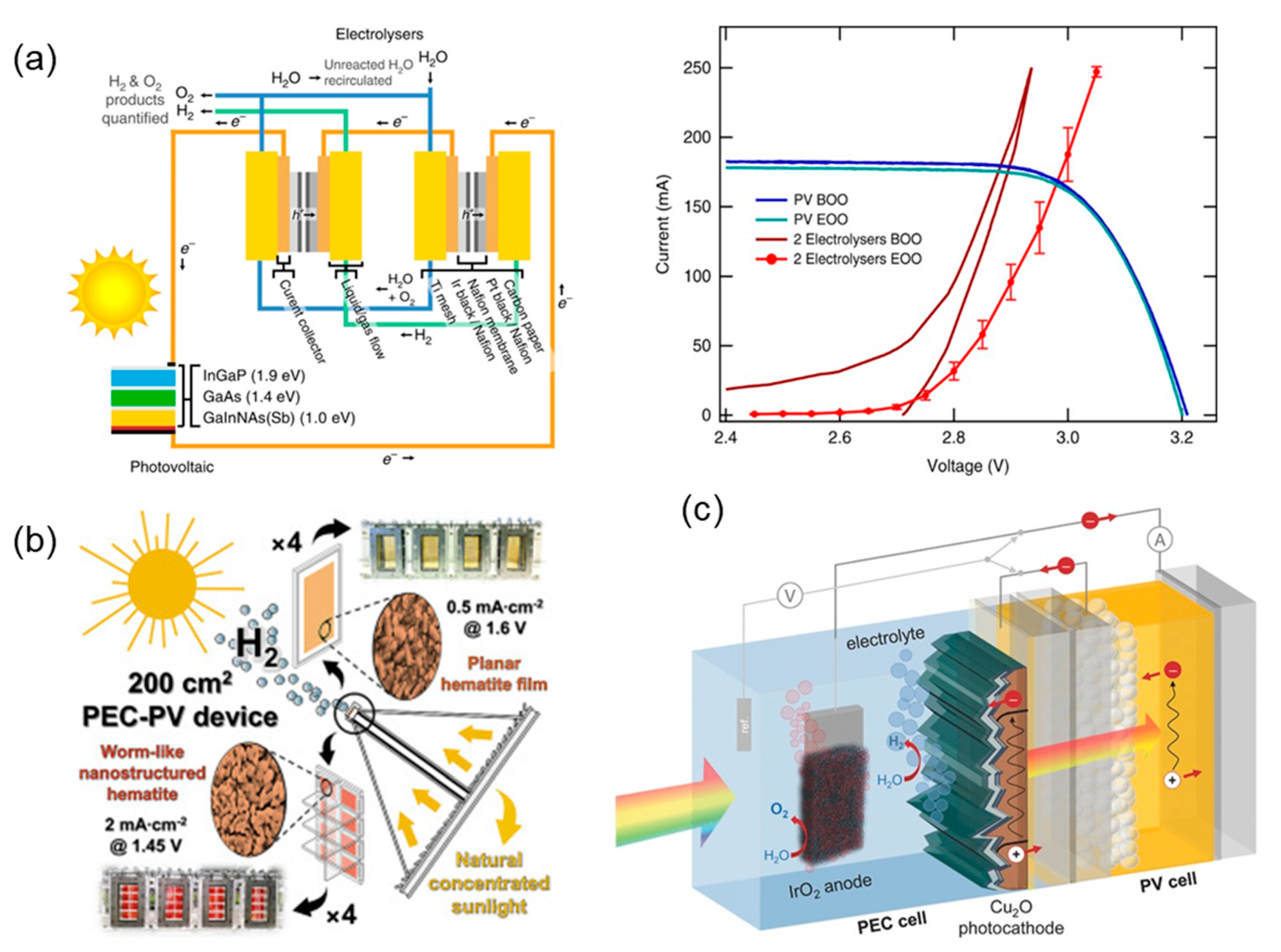 Catalysts 11 00142 g010