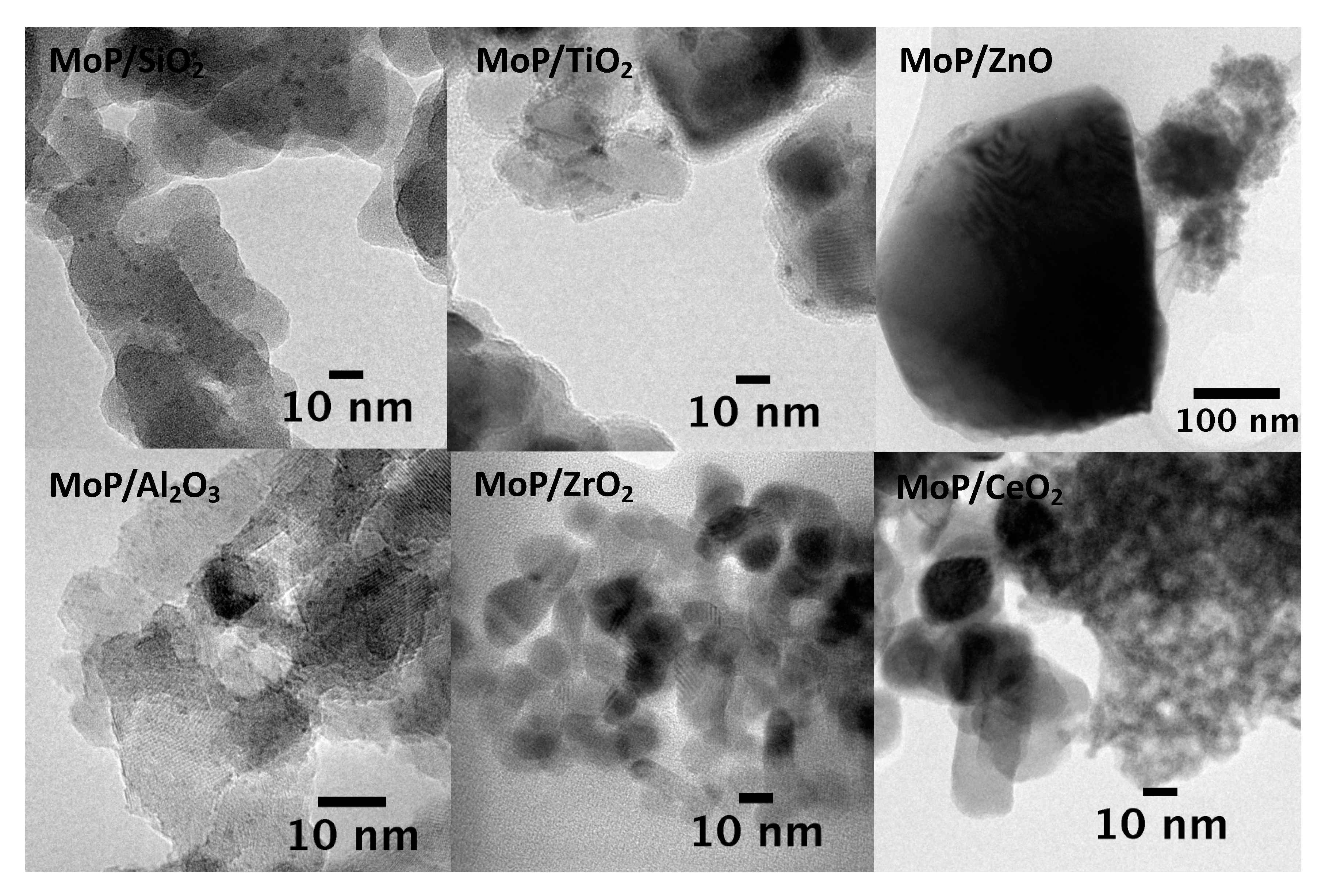 Catalysts 11 00143 g004 Catalysts 11 00143 g004