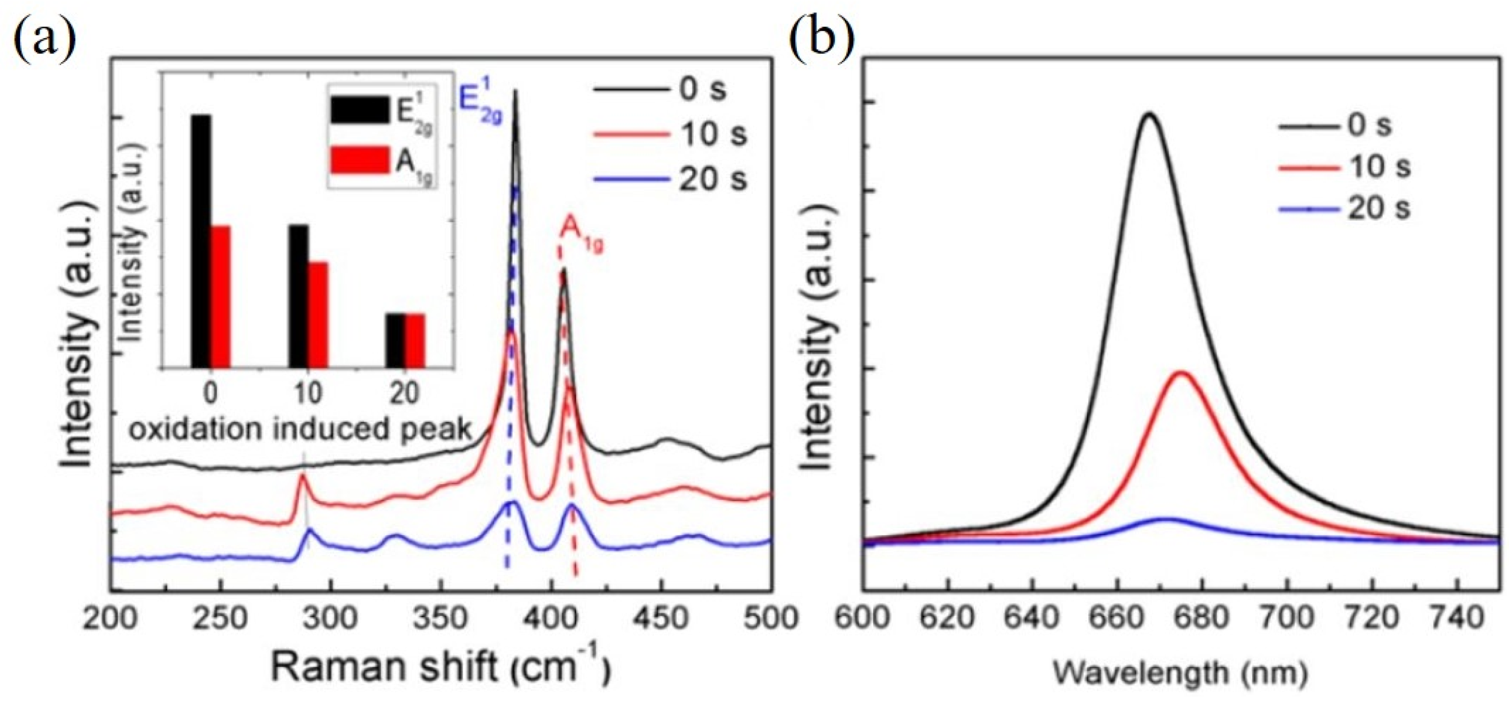 Catalysts 11 00151 g002