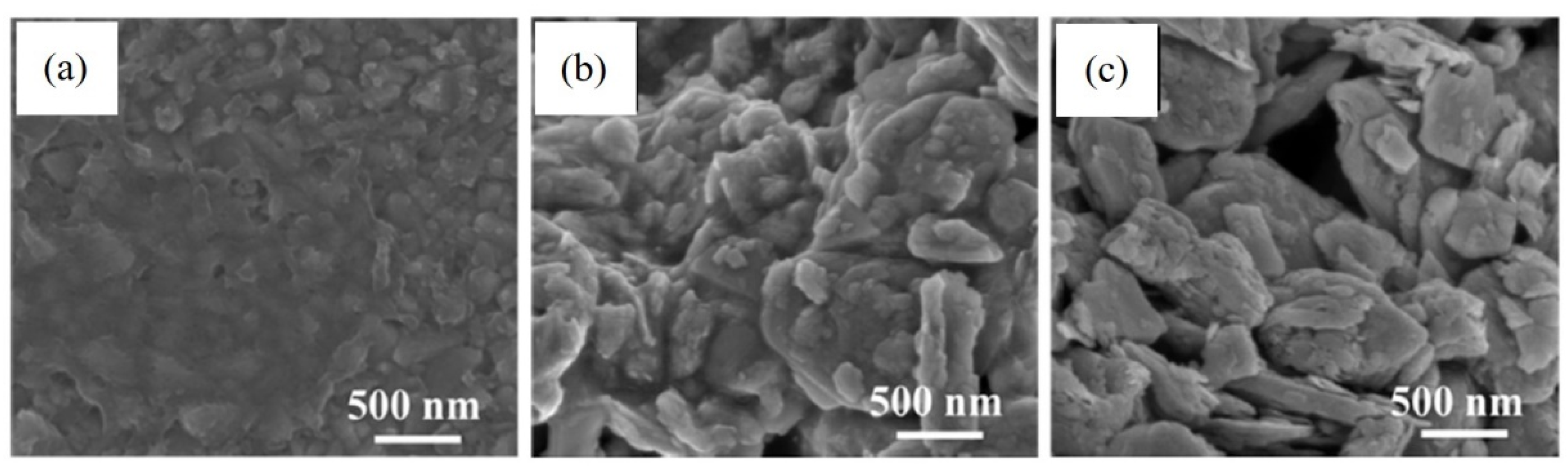 Catalysts 11 00151 g011