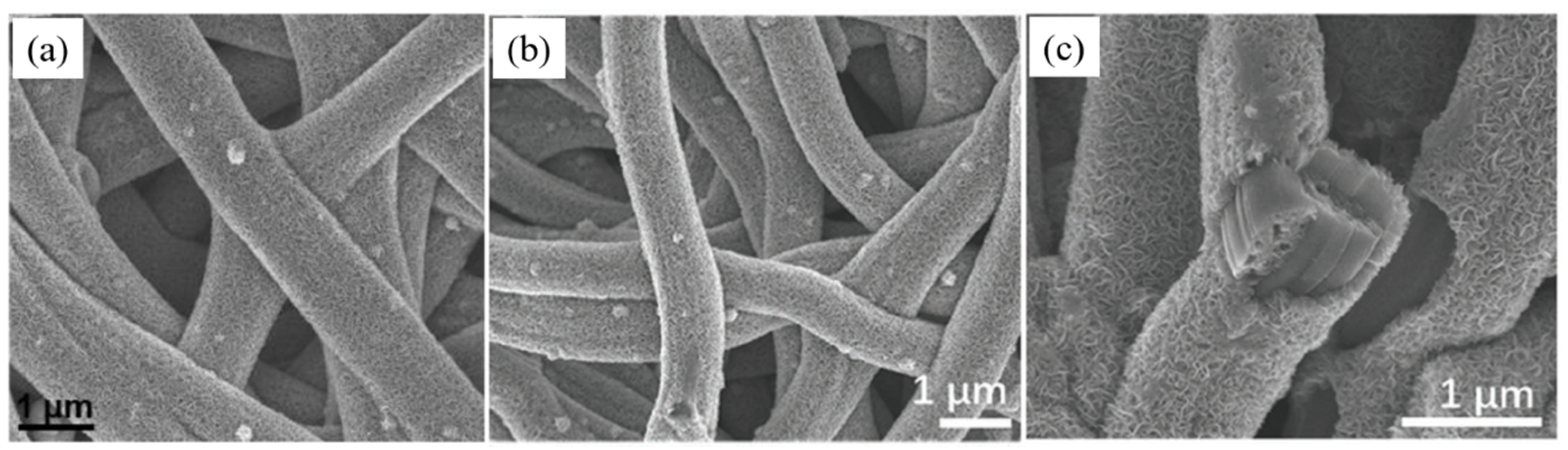 Catalysts 11 00151 g013