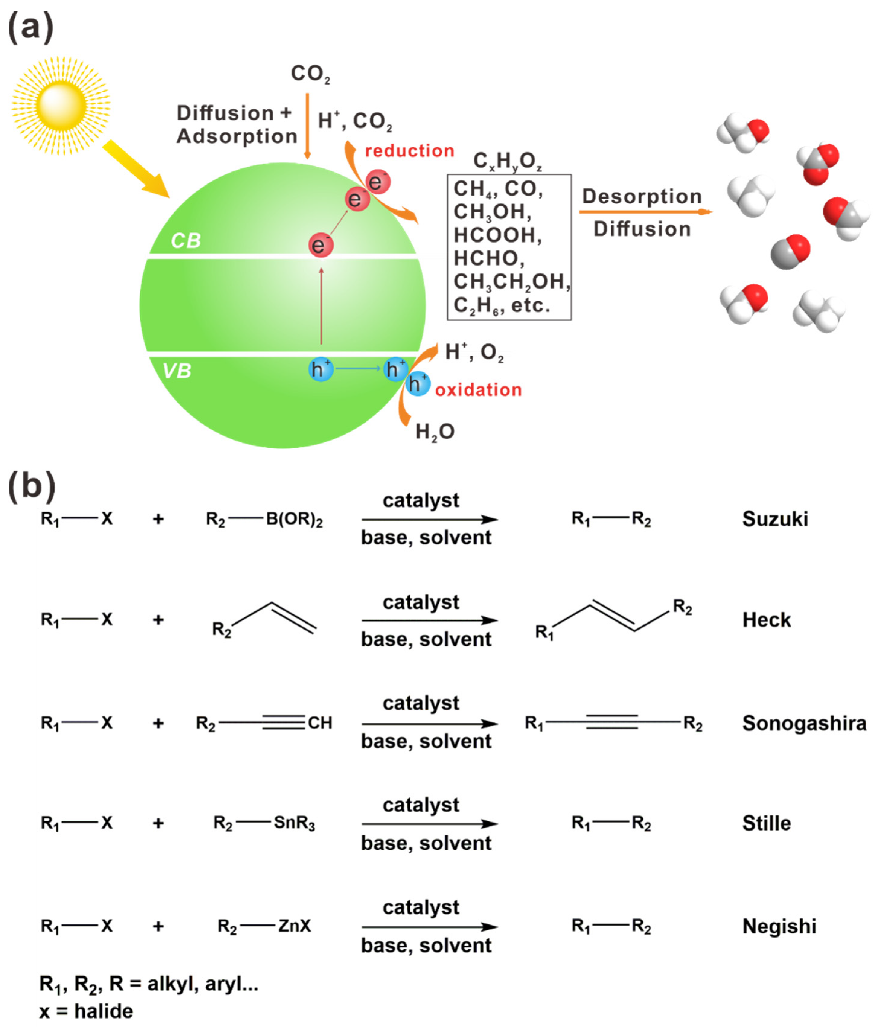 Catalysts 11 00155 g001