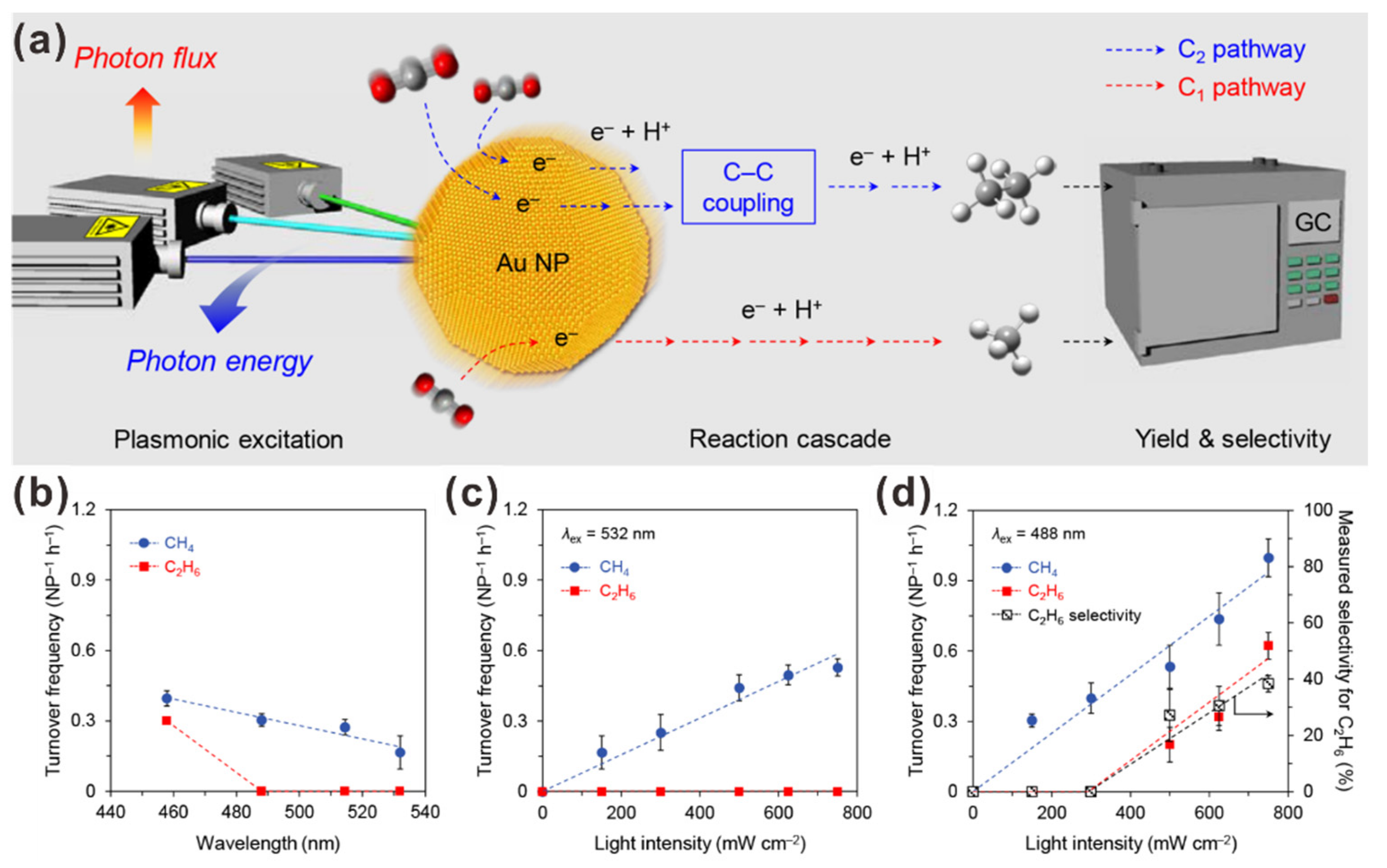 Catalysts 11 00155 g002